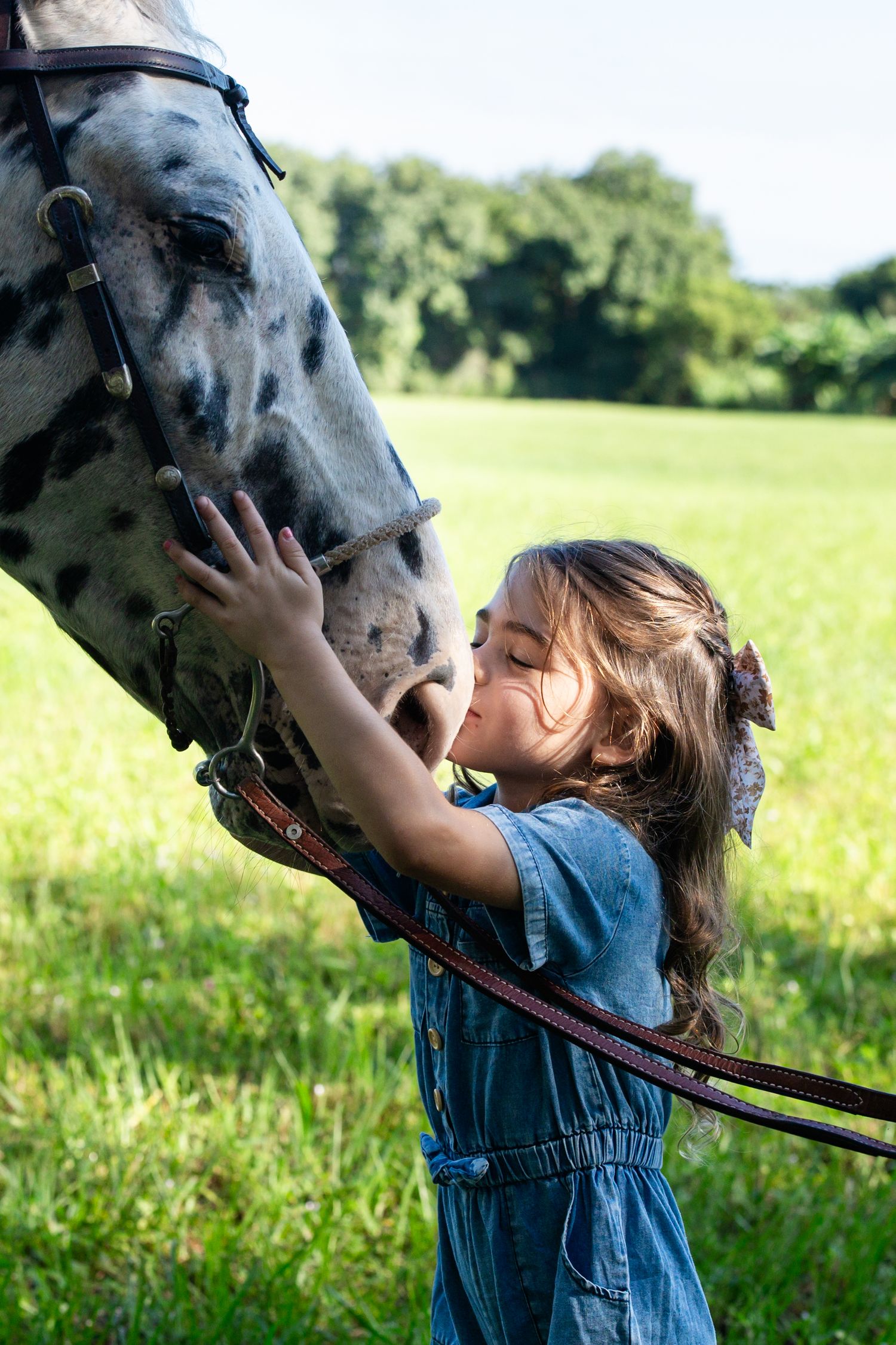 A young child in overalls reaches up to pet a large black horse in a sunny meadow.