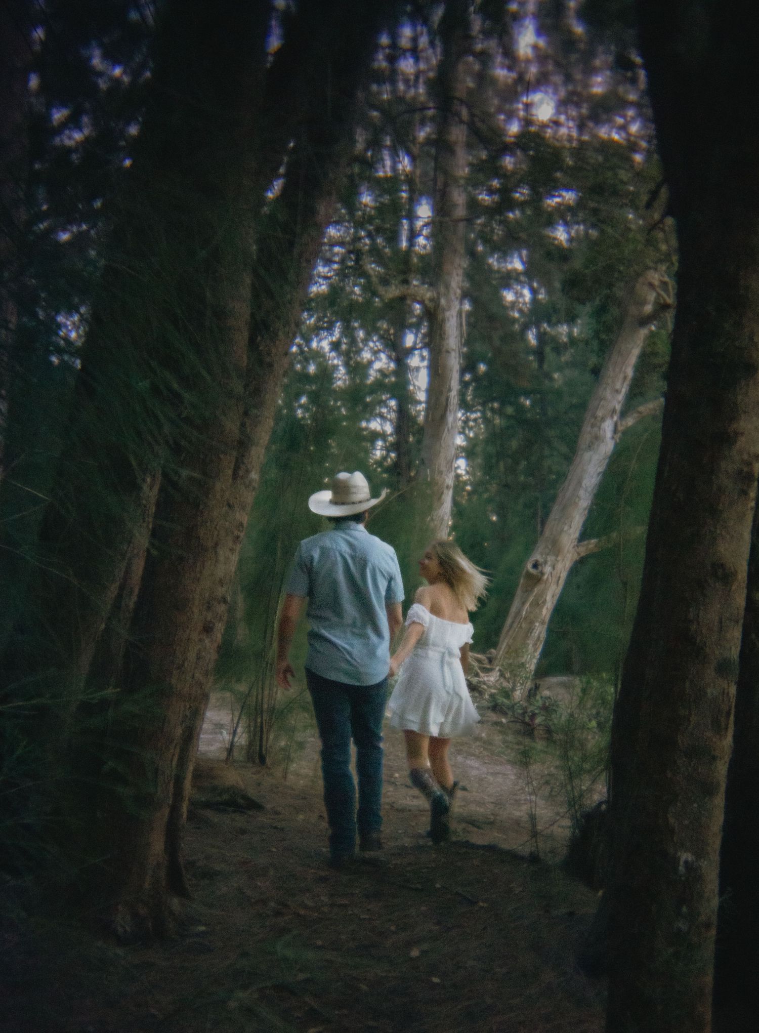 A couple walking hand in hand through a moody forest path, with sunlight filtering through tall trees.