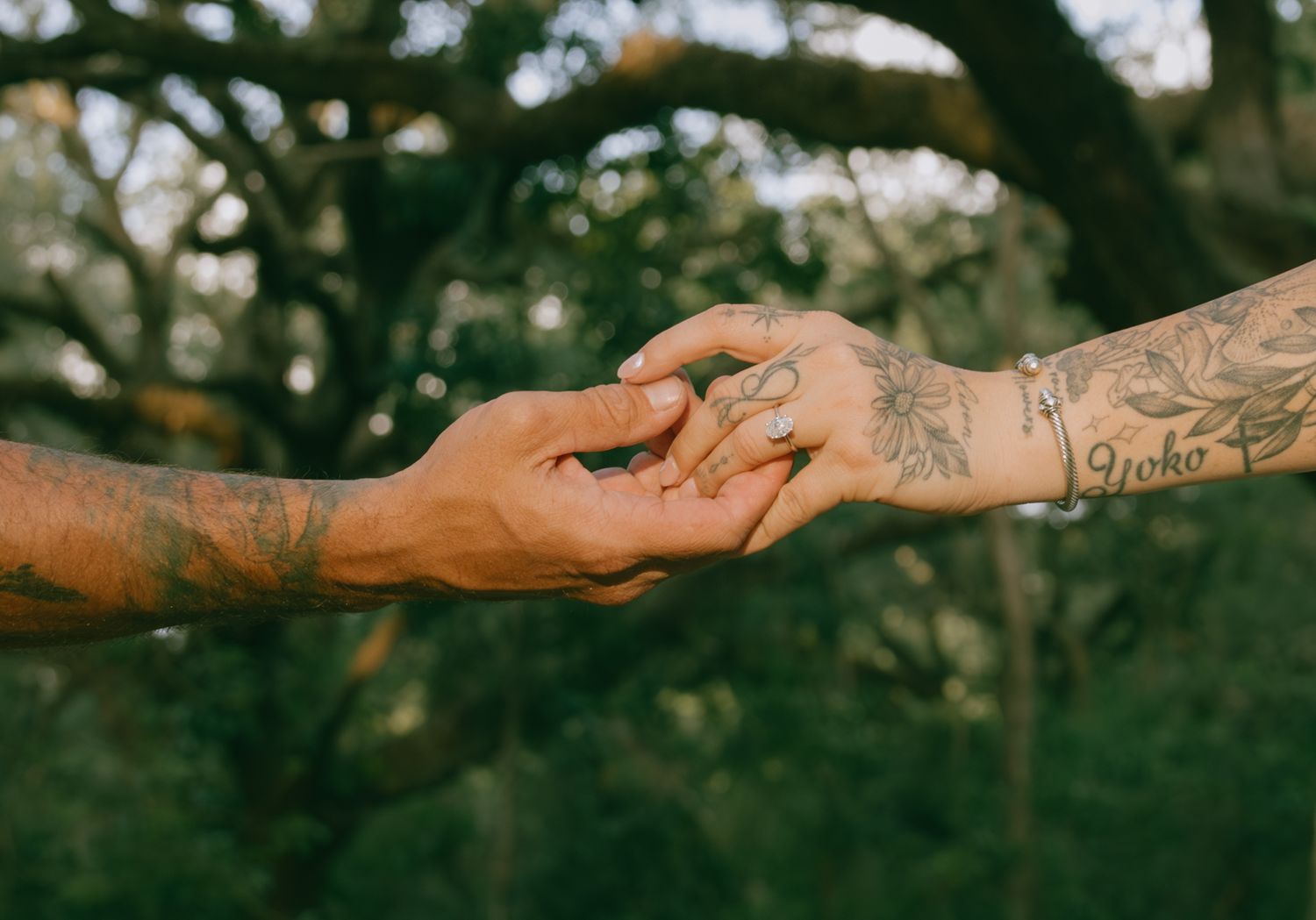 Close-up shot of hands reaching towards each other against a blurred natural background with sunlight.