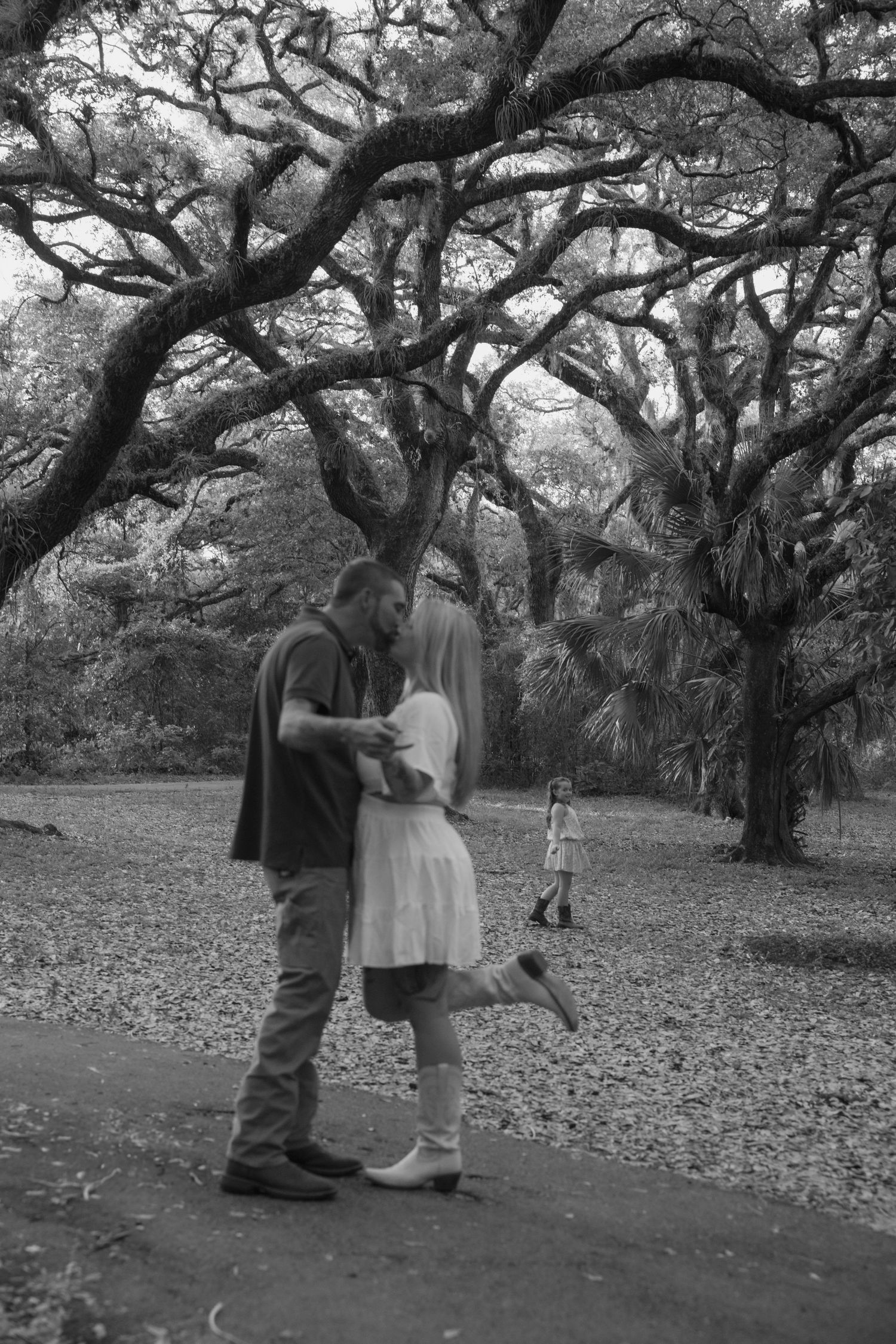 A romantic moment unfolds beneath twisted oak trees in a park as a small figure plays in the background.