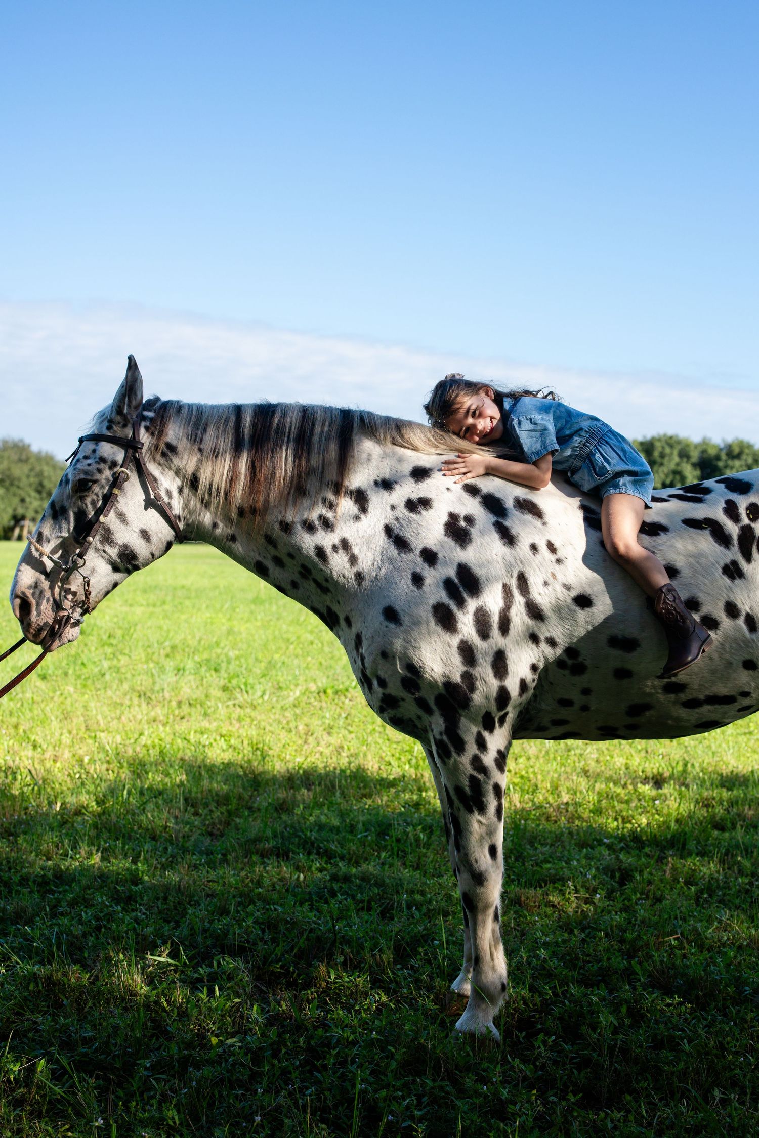 A spotted Appaloosa horse stands in a green field on a sunny day while someone rests on its back.