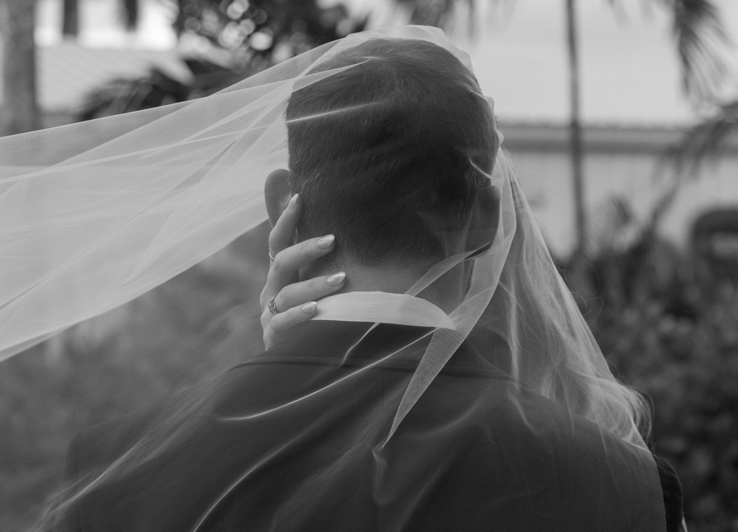 A delicate white wedding veil flows in the breeze behind a silhouetted figure in a black and white photograph.