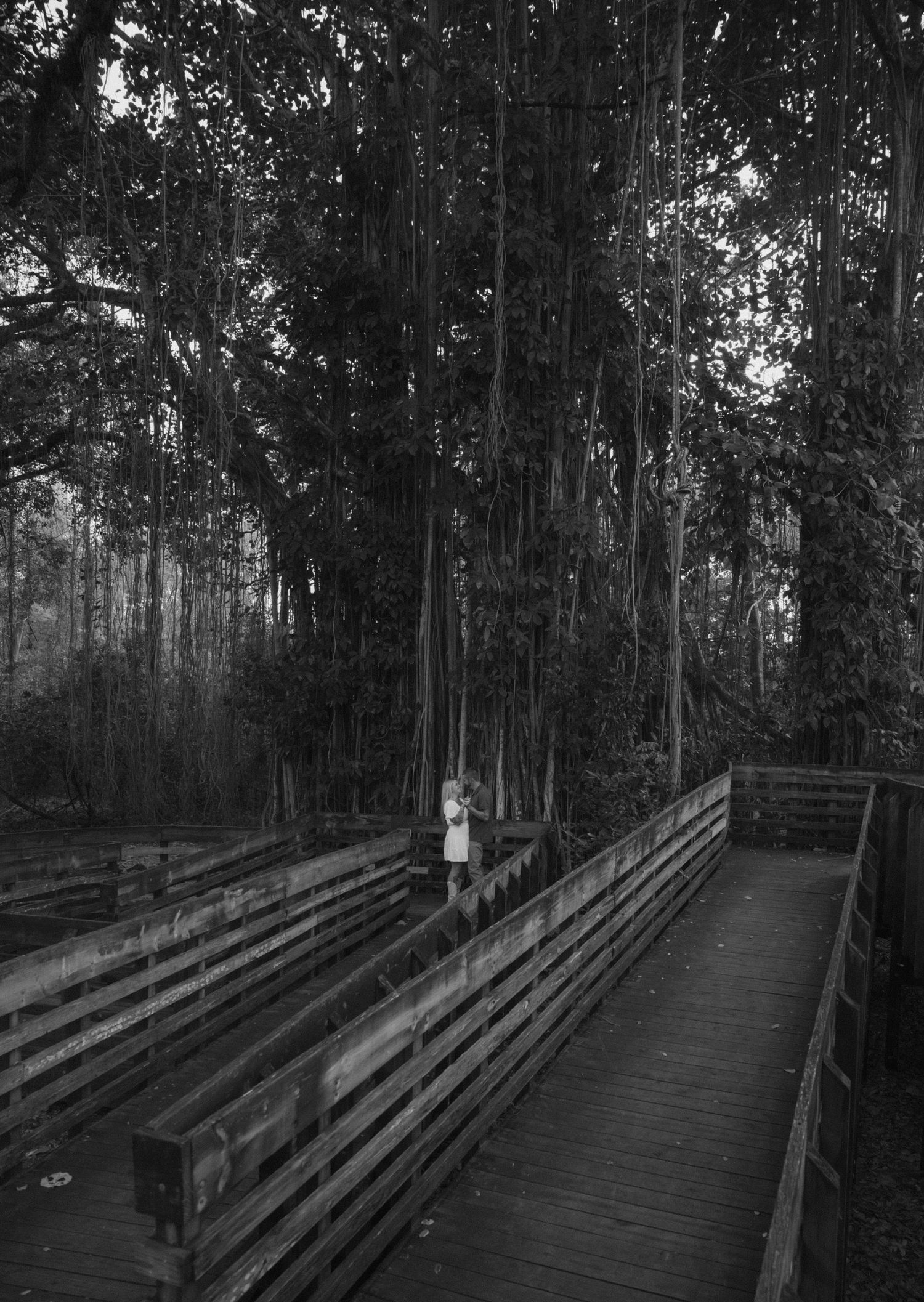 A wooden boardwalk path through a dark and misty forest.