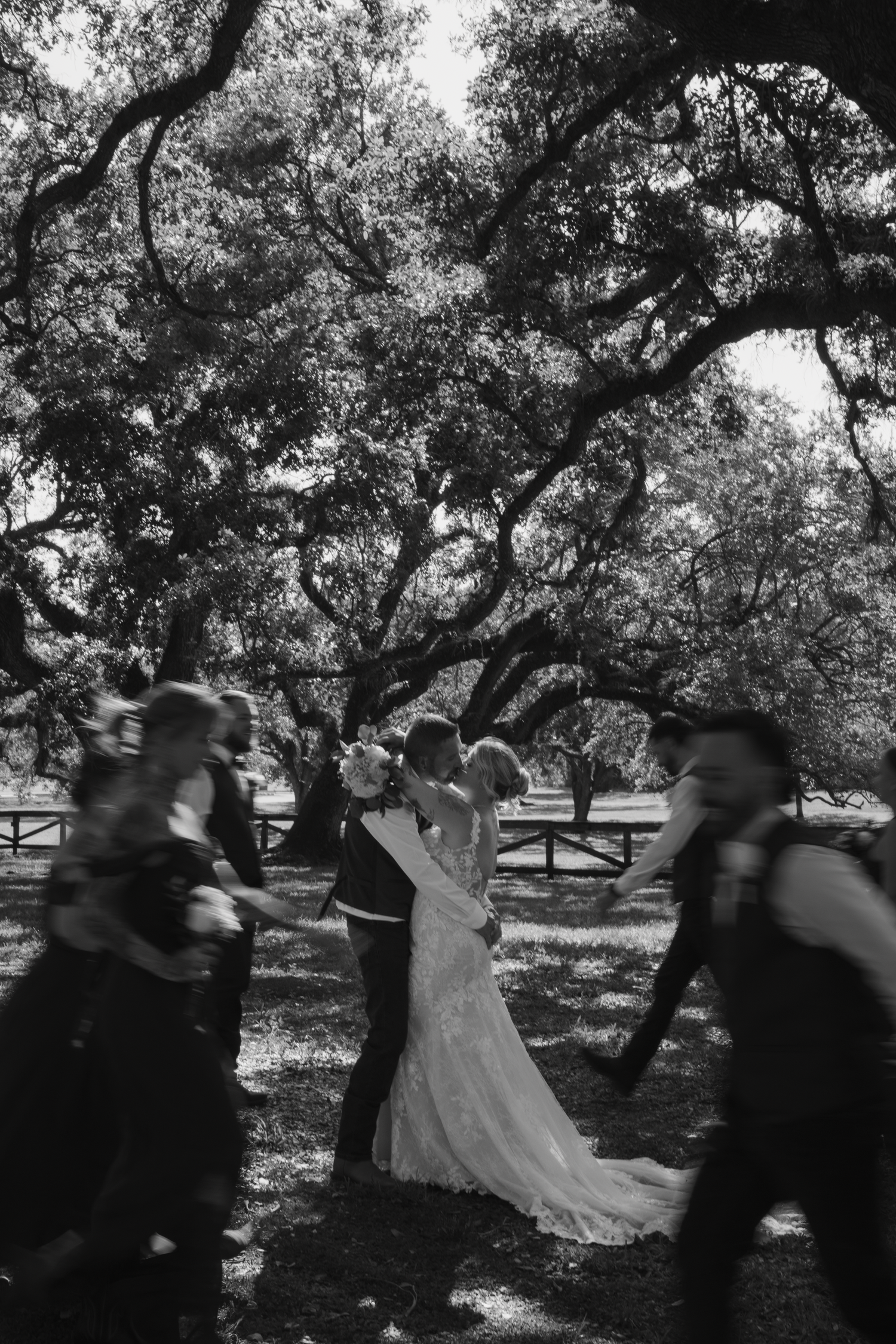 A series of silhouetted figures dancing in an outdoor setting beneath sprawling oak trees.
