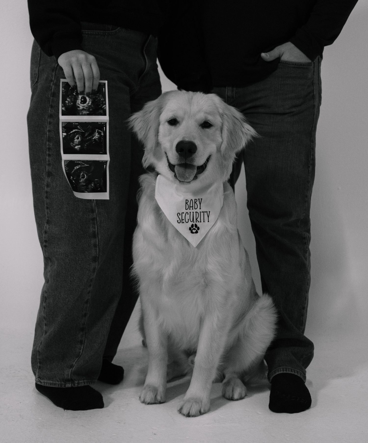 Black and white pregnancy announcement photo with golden retriever wearing Baby Security bandana and ultrasound photos.