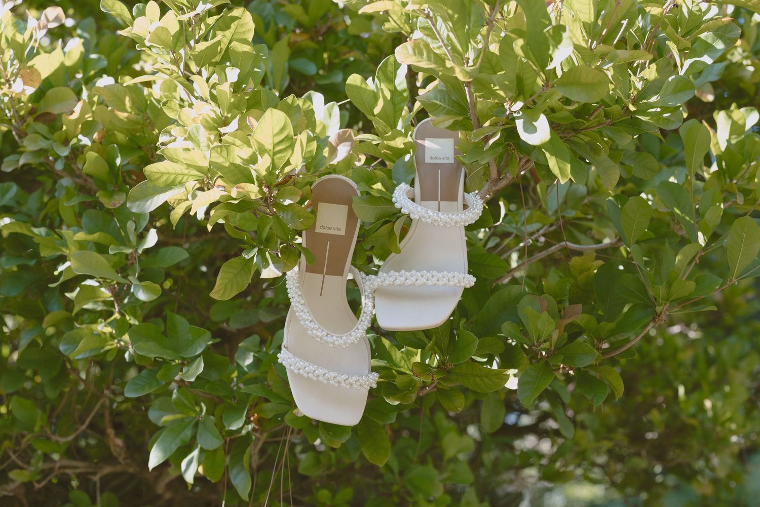 A decorative outdoor solar light hangs from a tree branch against a backdrop of lush green foliage.