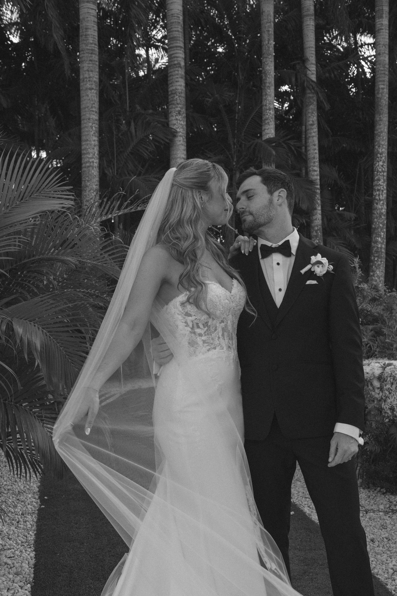A romantic wedding couple poses among tall palm trees in an outdoor garden setting.