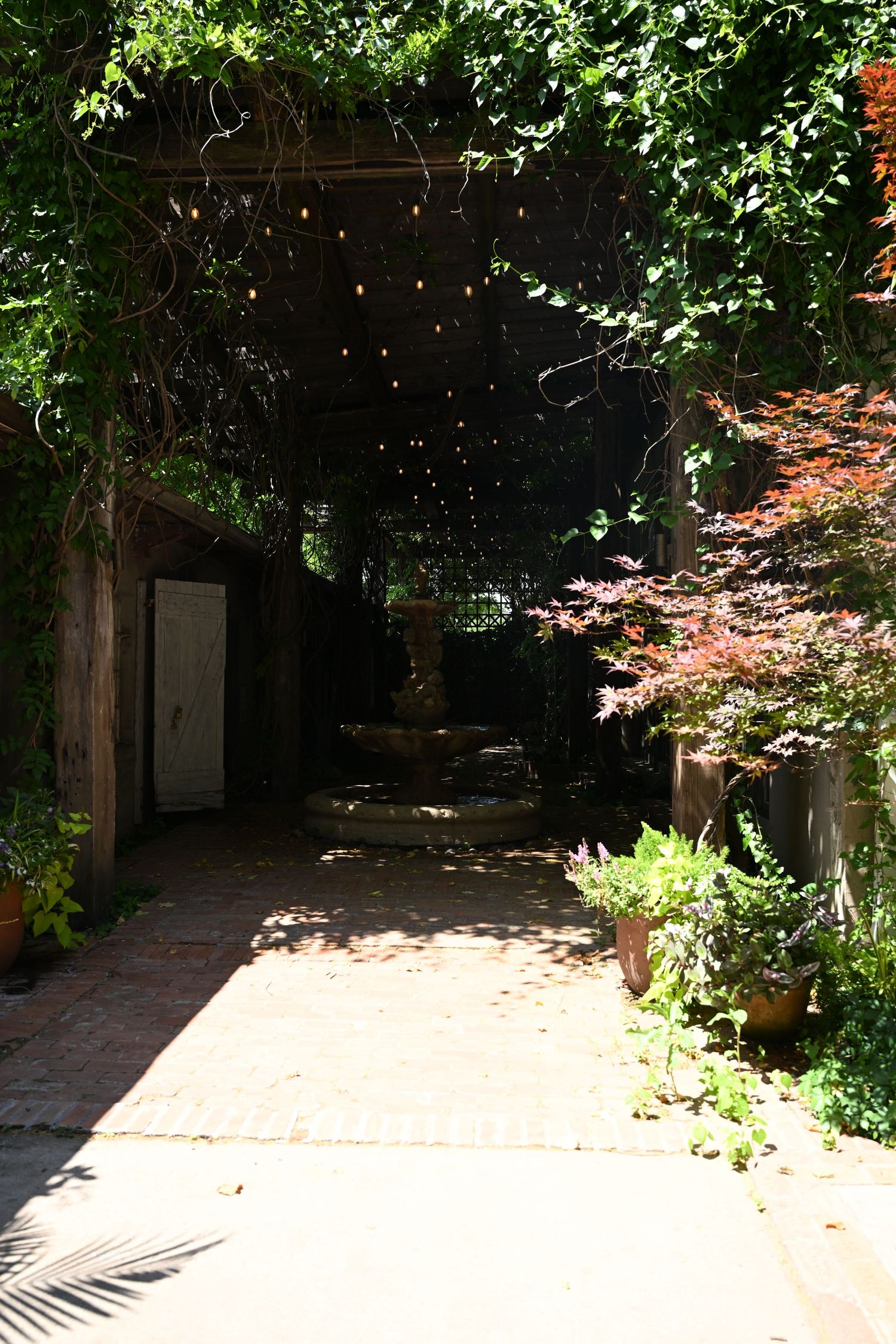 Charming garden pathway with string lights and lush greenery leading to steps.