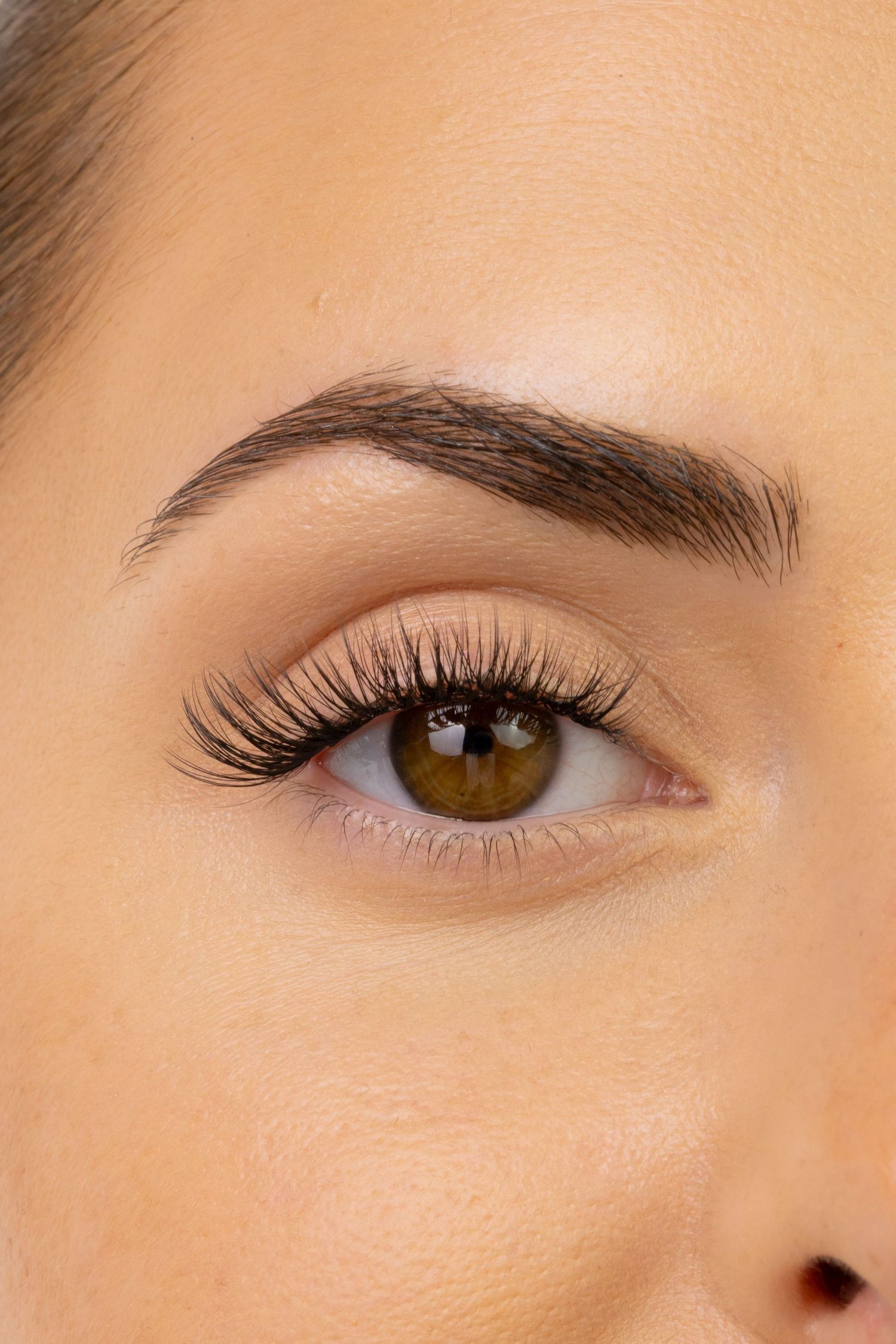 Macro shots of eye with natural makeup and defined eyebrows.