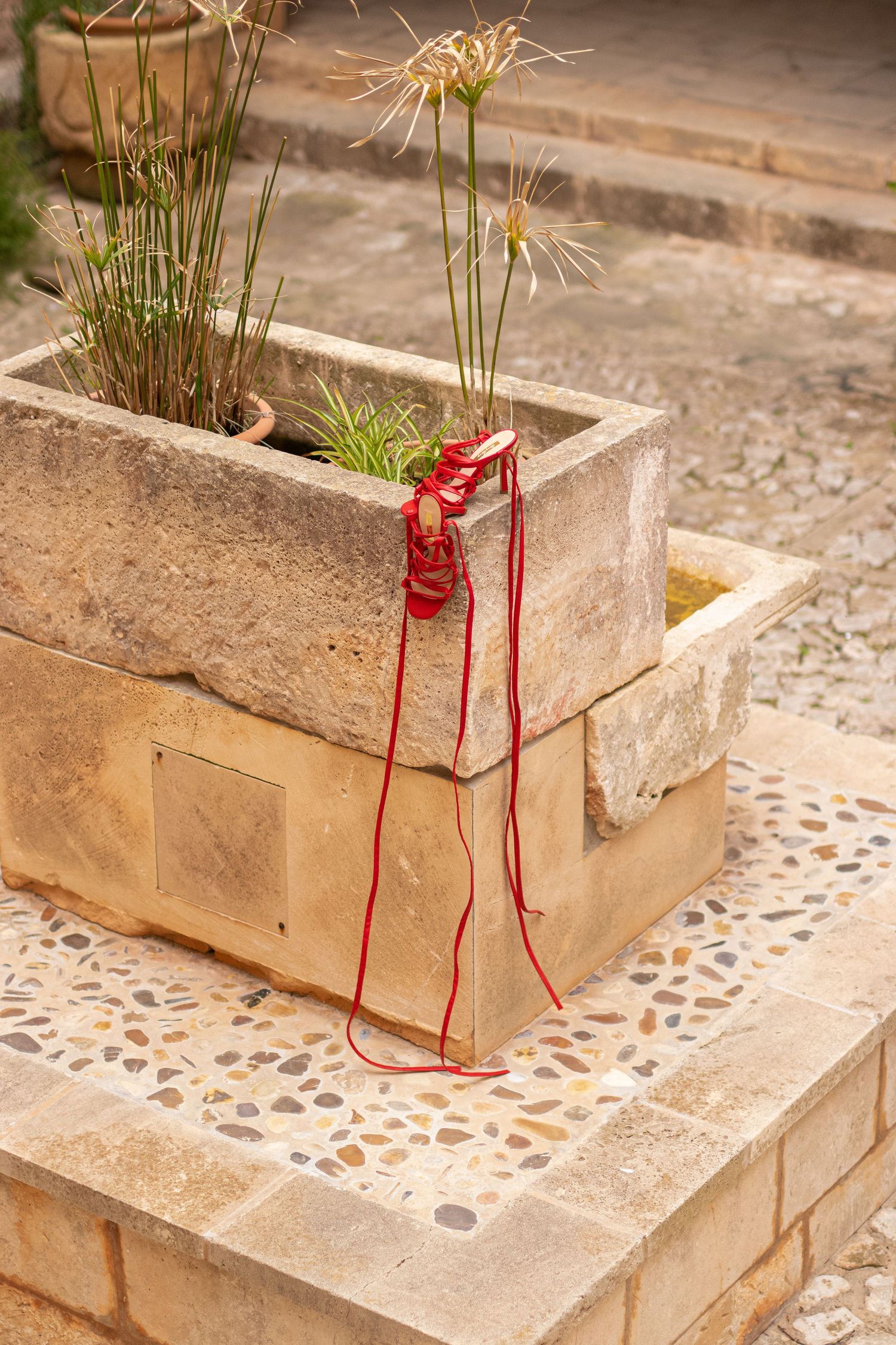 Red string tied around concrete planters with growing plants on stone steps.