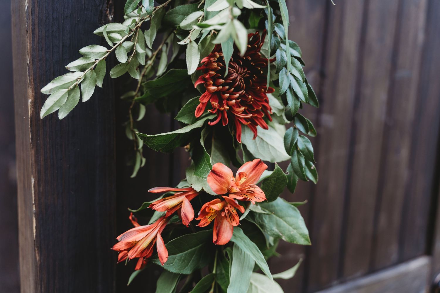 Decorative arrangement of red berries and green leaves against a dark wooden background.