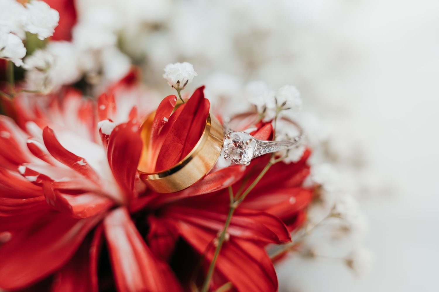 Close-up of wedding rings nestled in vibrant red flower petals with white baby's breath.