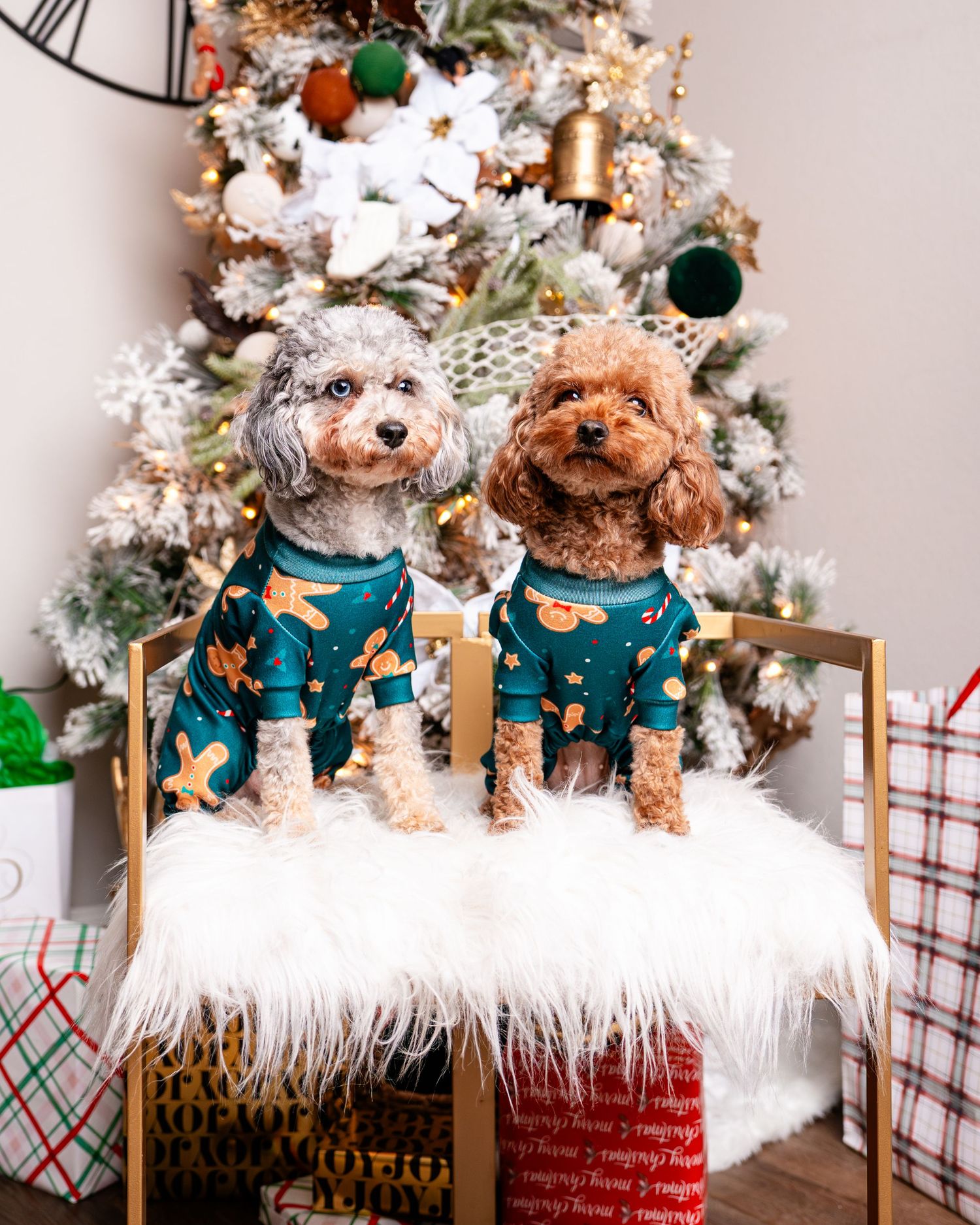Two plush toy dogs wearing matching teal sweaters sit on white fur in front of a decorated Christmas tree. Powerrpackmedia Houston Texas