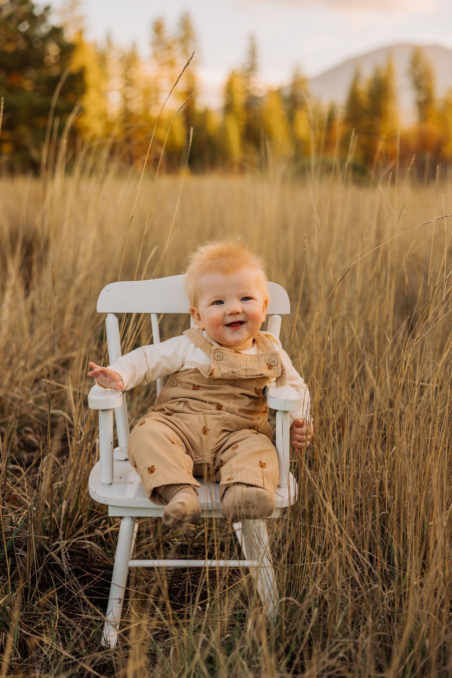 Baby in tan overalls sits in white chair surrounded by tall grass during golden hour.