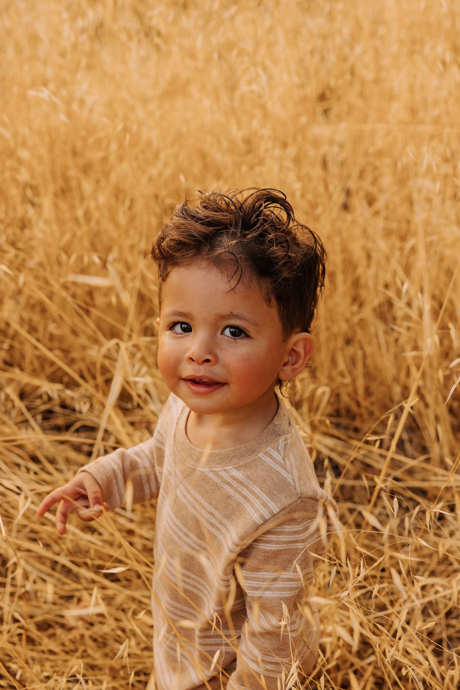Baby crawling through golden grass during outdoor photo session.