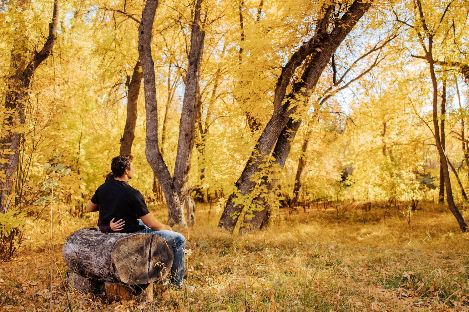 Golden autumn trees create a panoramic landscape in warm sunlight.