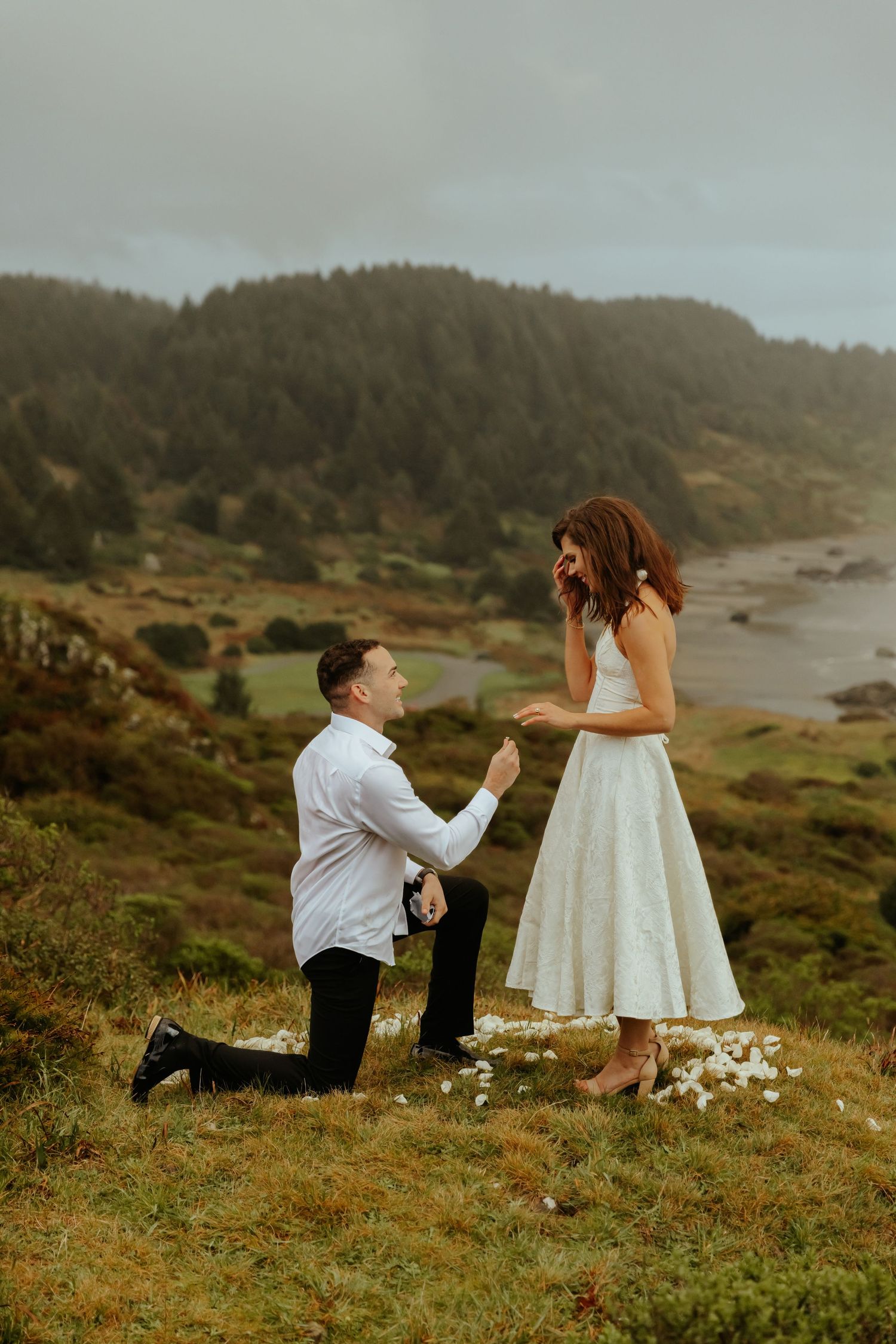 Marriage proposal taking place on a scenic coastal hillside with ocean views.