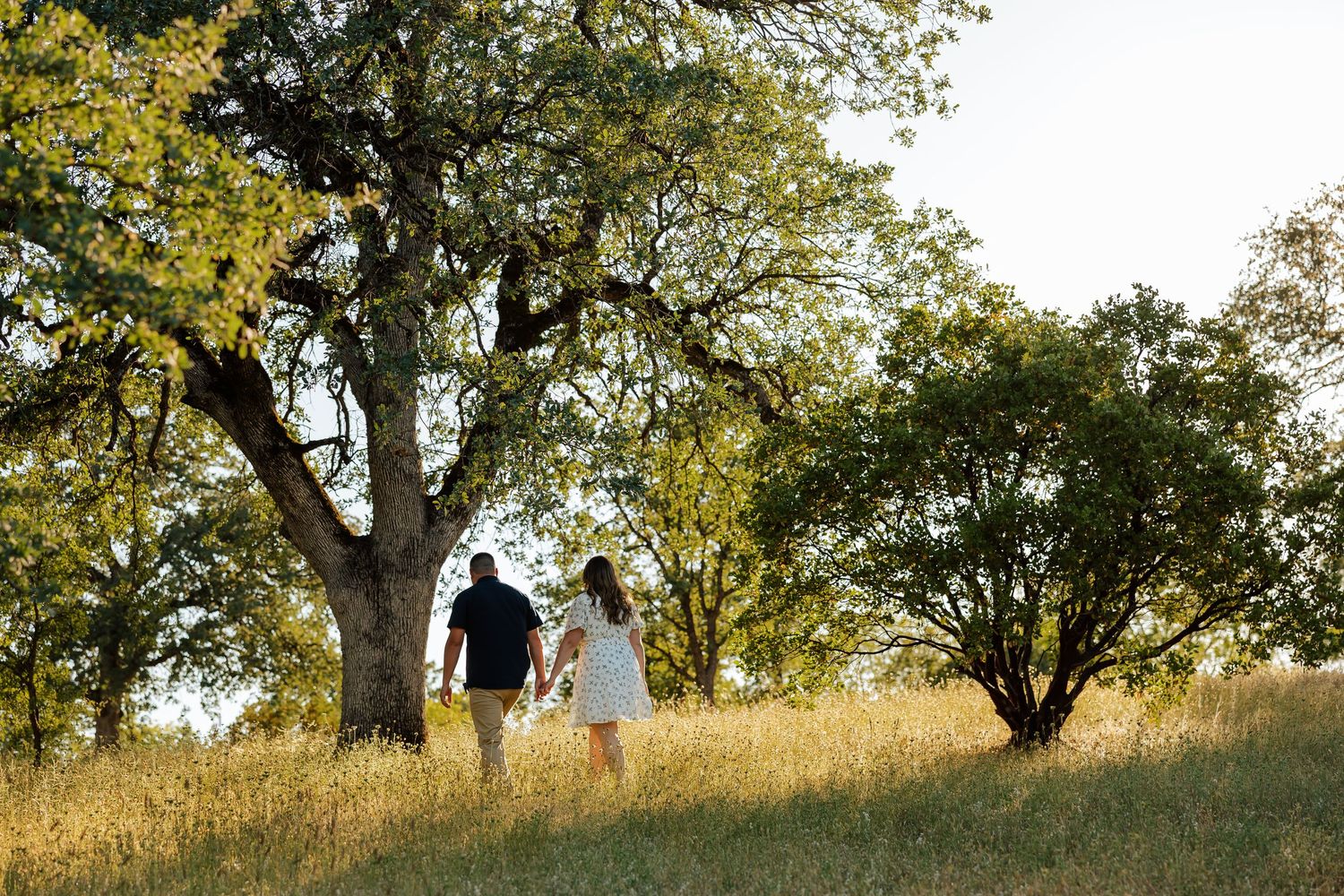 Couple walking hand in hand through a sunlit meadow surrounded by large oak trees on a sunny day.
