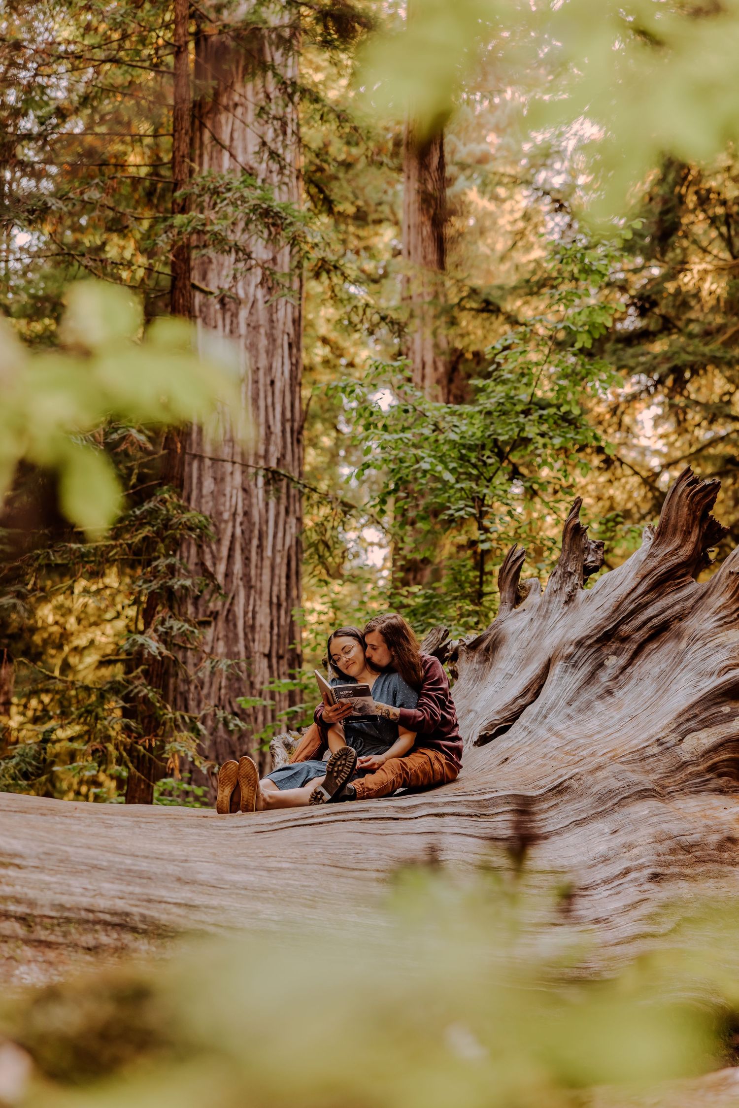 Couple relaxing on a fallen redwood tree trunk in a sunlit forest setting.