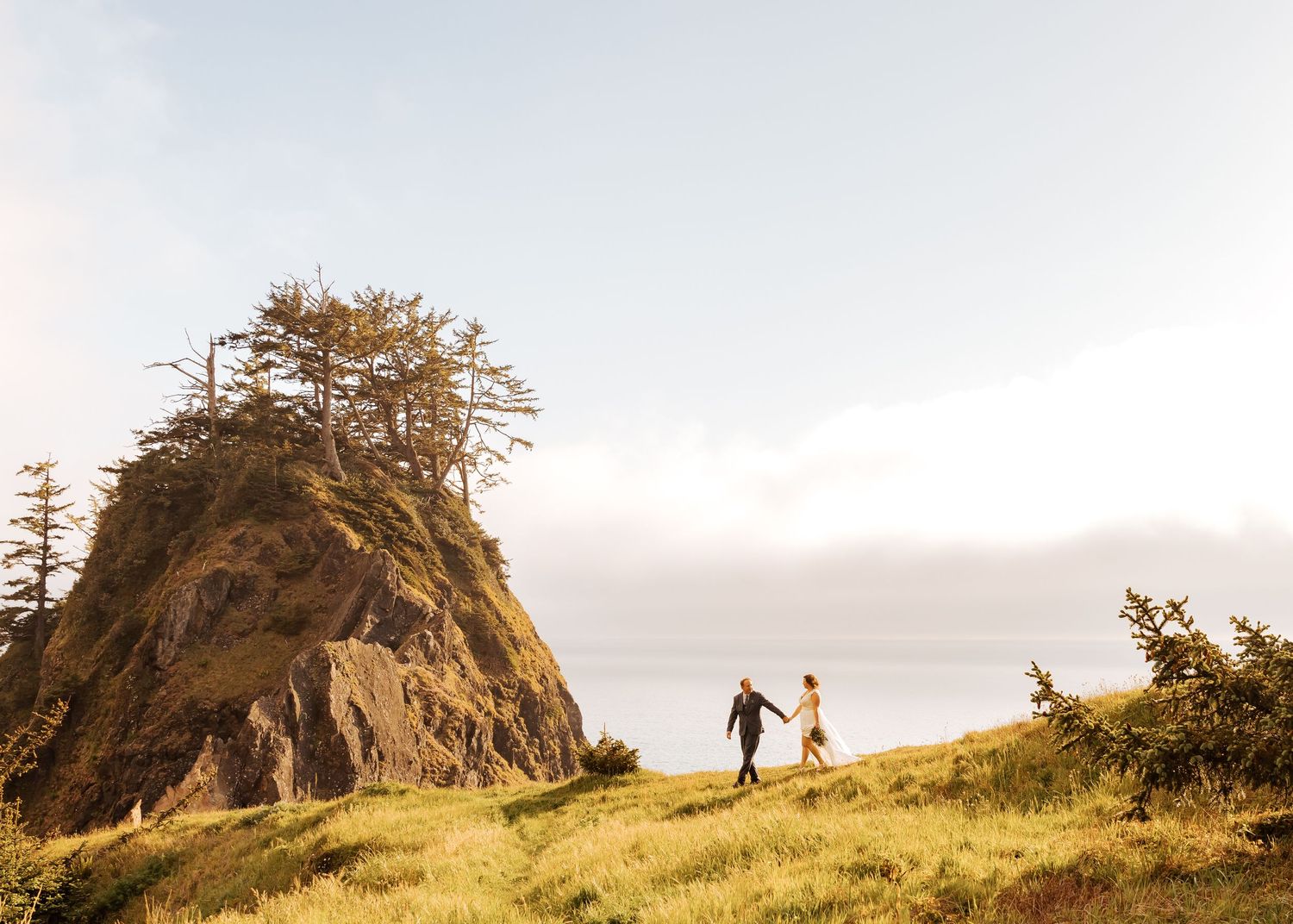 A panoramic view of a coastal cliff with evergreen trees and distant ocean views.
