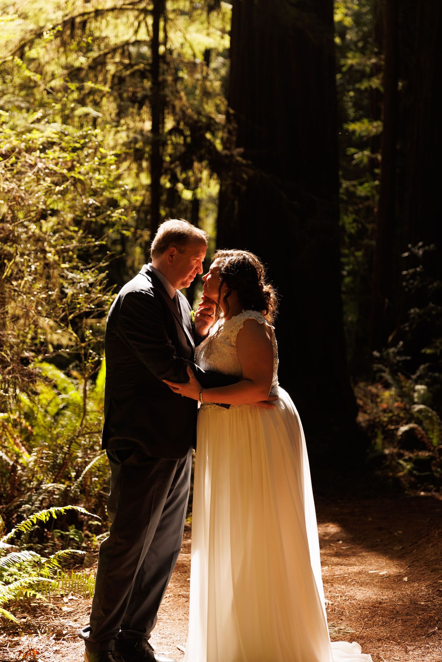 Intimate wedding moment captured in the golden light of a majestic redwood forest.