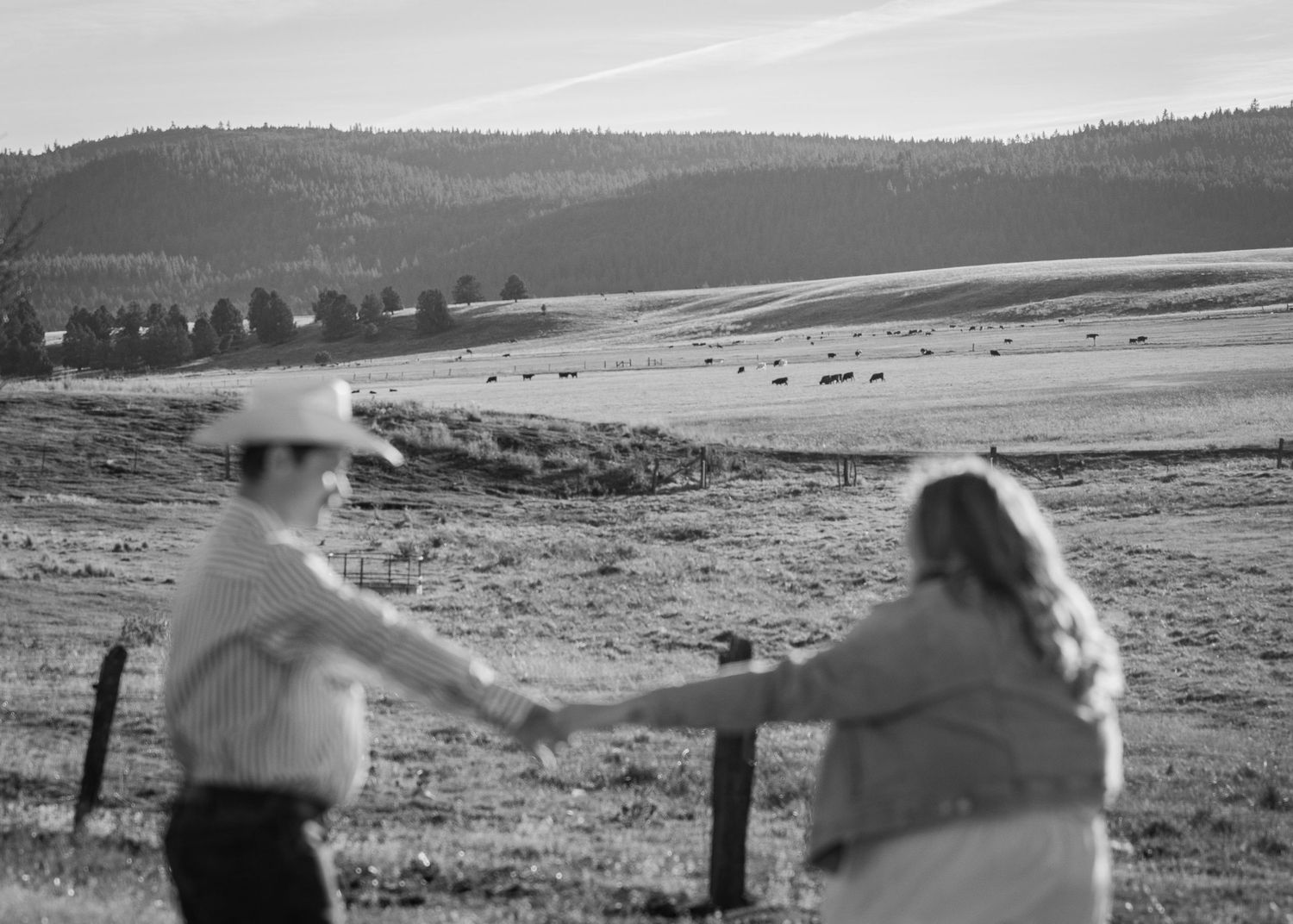 A sequence of black and white landscape photographs showing rolling hills and fields in a panoramic view.