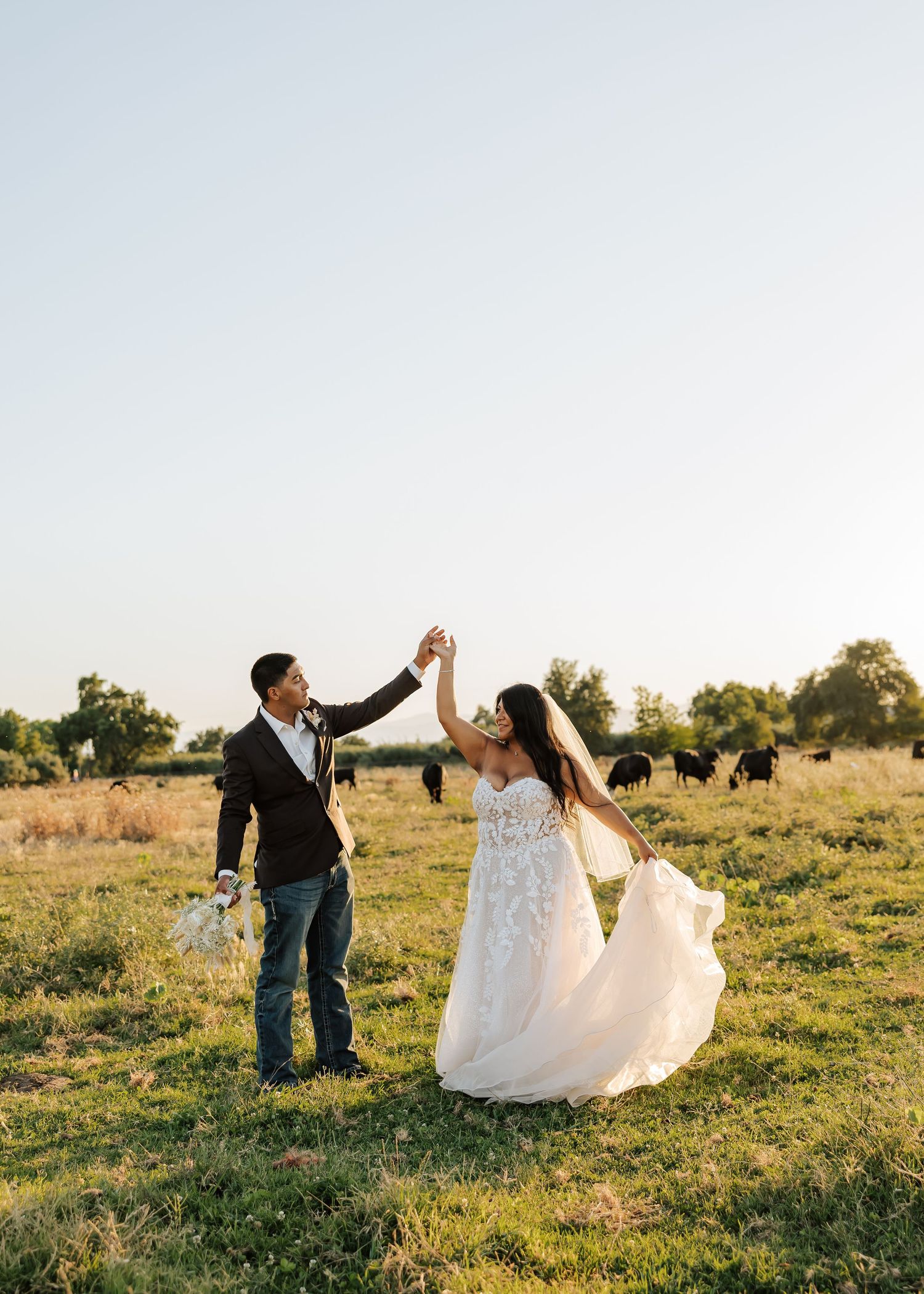 Bride and groom dancing in a sunlit field with cattle grazing in the background during golden hour.