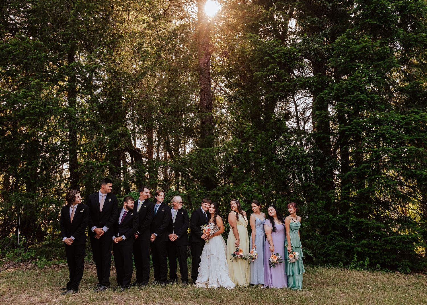 Wedding party in formal attire poses outdoors among tall green trees with golden sunlight streaming through the canopy.