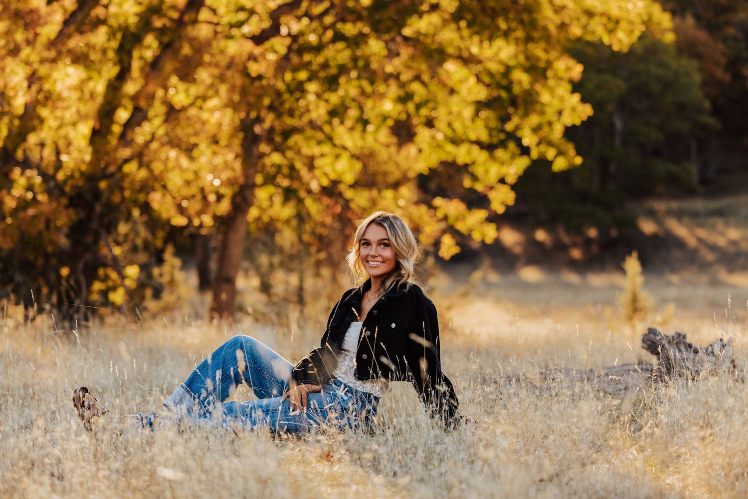 Scenic autumn landscape photography with golden trees and dried grass in natural lighting.