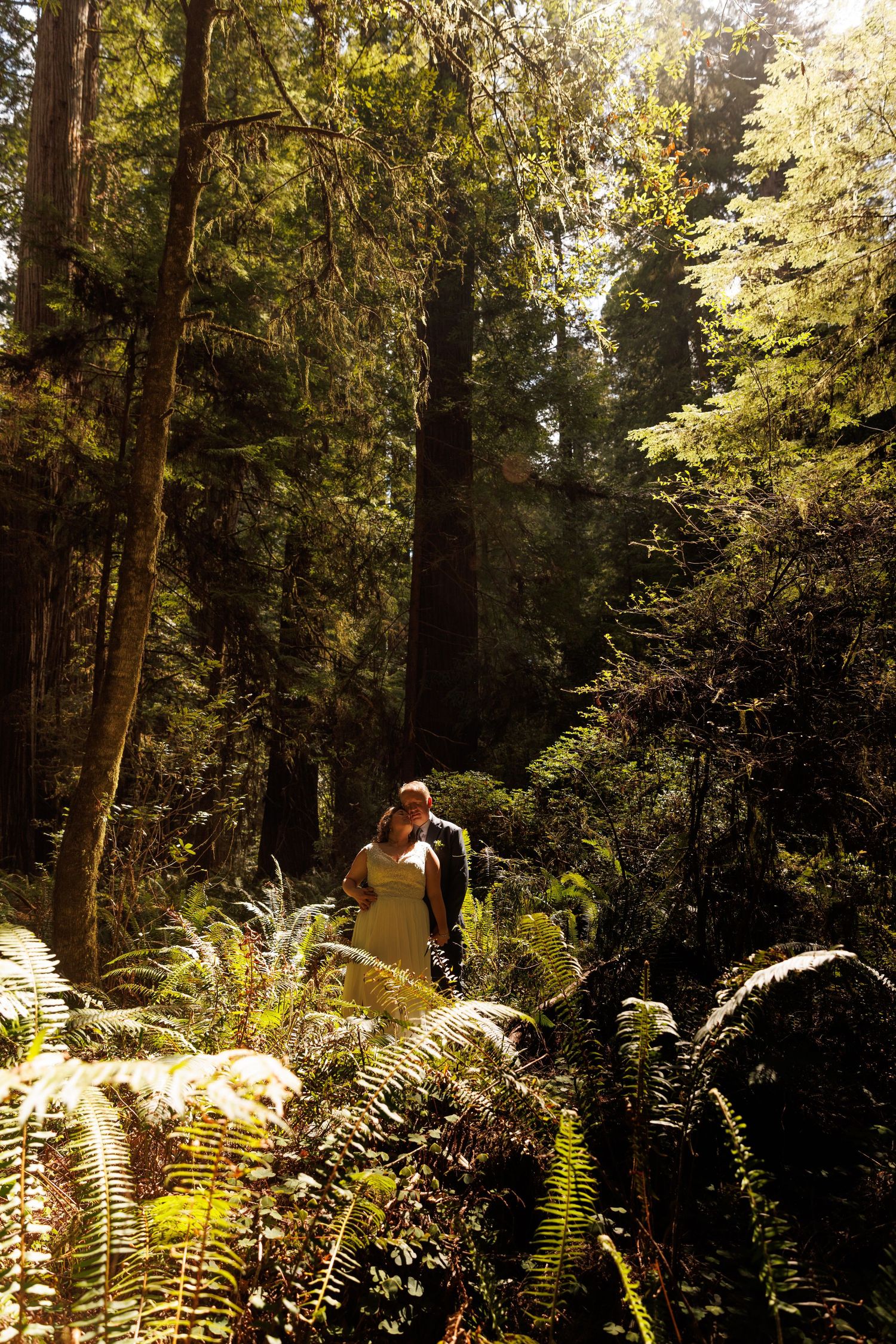 Sunlit forest wedding scene with couple walking through ferns and towering redwood trees.