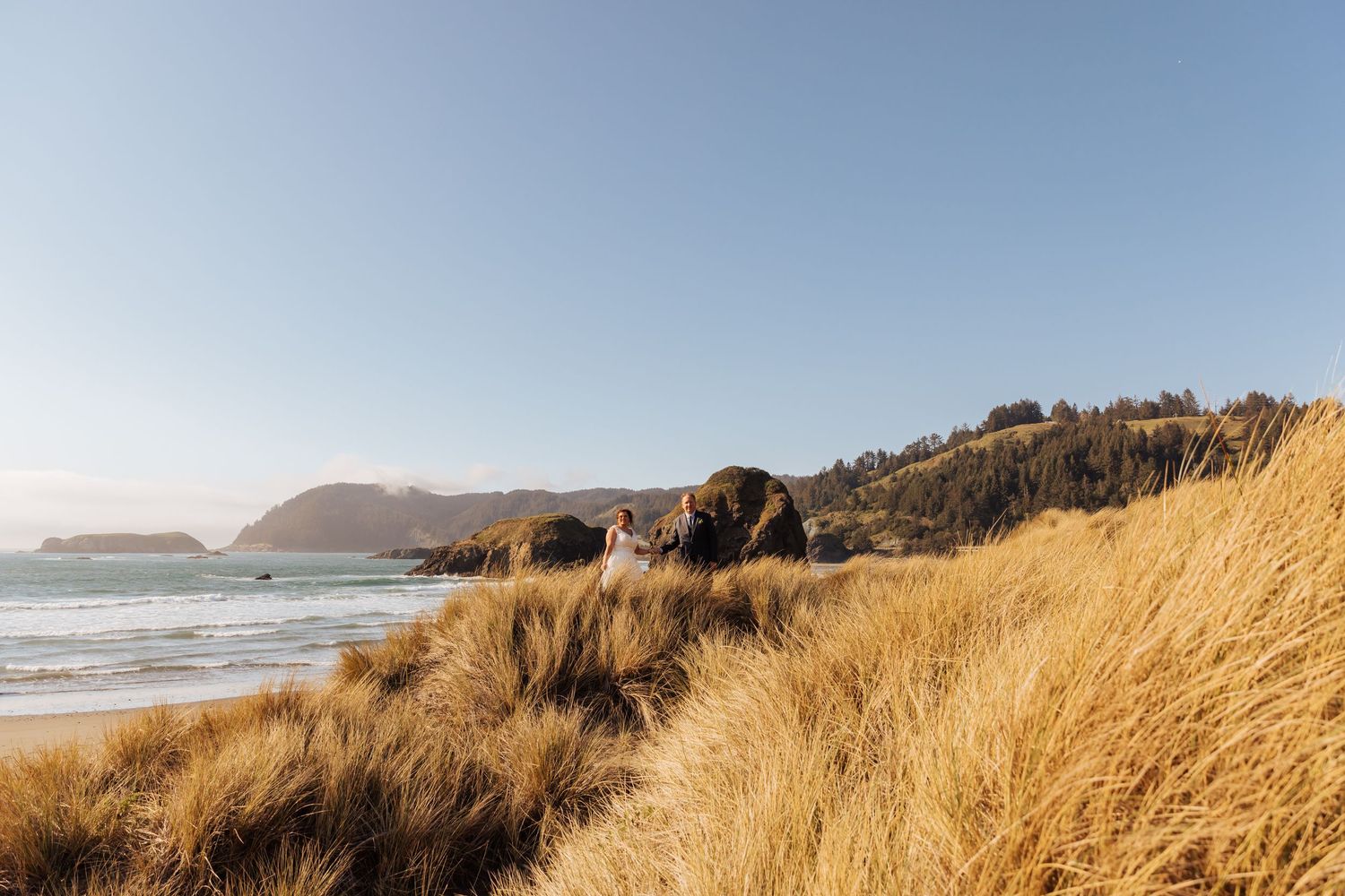 Sweeping coastal landscape with golden beach grass and rocky headlands along the ocean.
