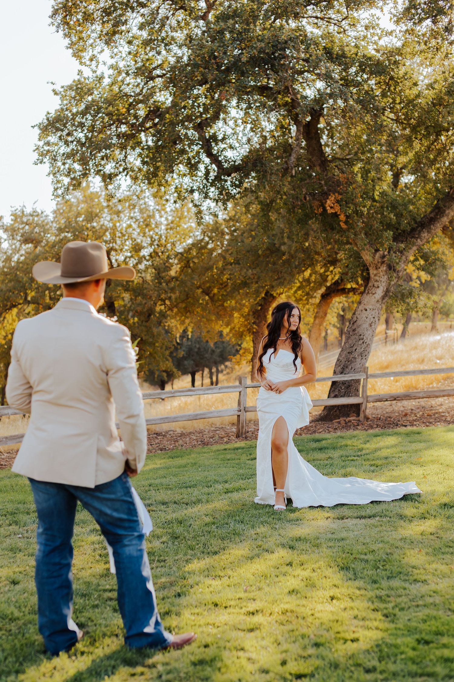 Wedding couple embracing in a sunlit field with oak trees creating a golden afternoon glow.