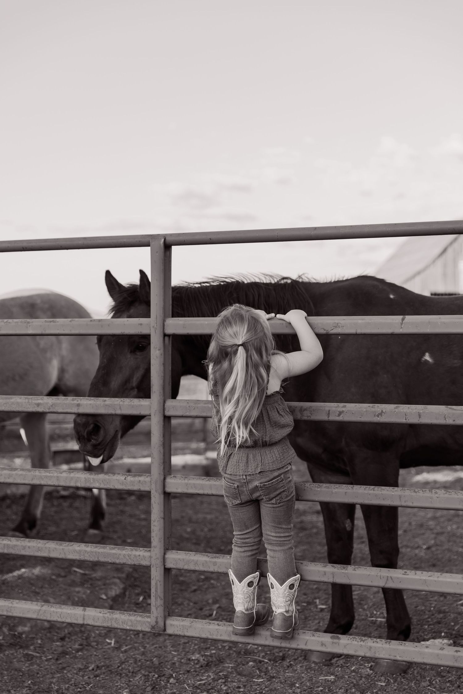 Black and white photo of a small child looking through wooden fence slats at a horse in a pasture.