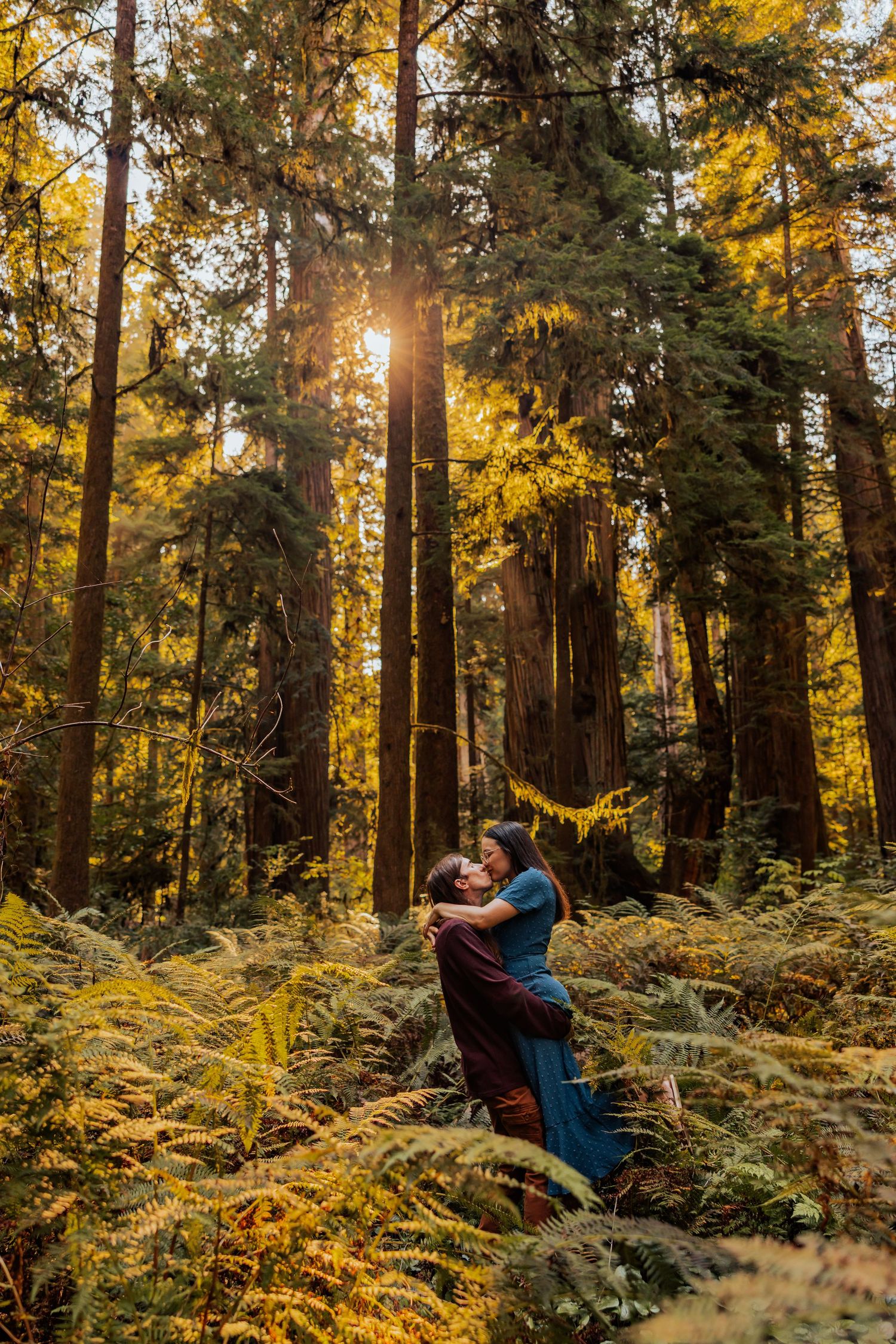 Romantic forest engagement photos captured in a lush fern-filled redwood grove.