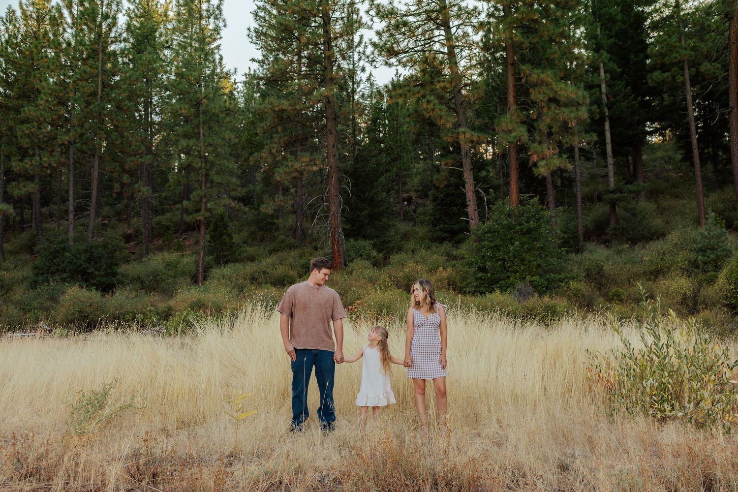 Family of three holding hands in a golden meadow surrounded by tall pine trees during a warm outdoor photo session.