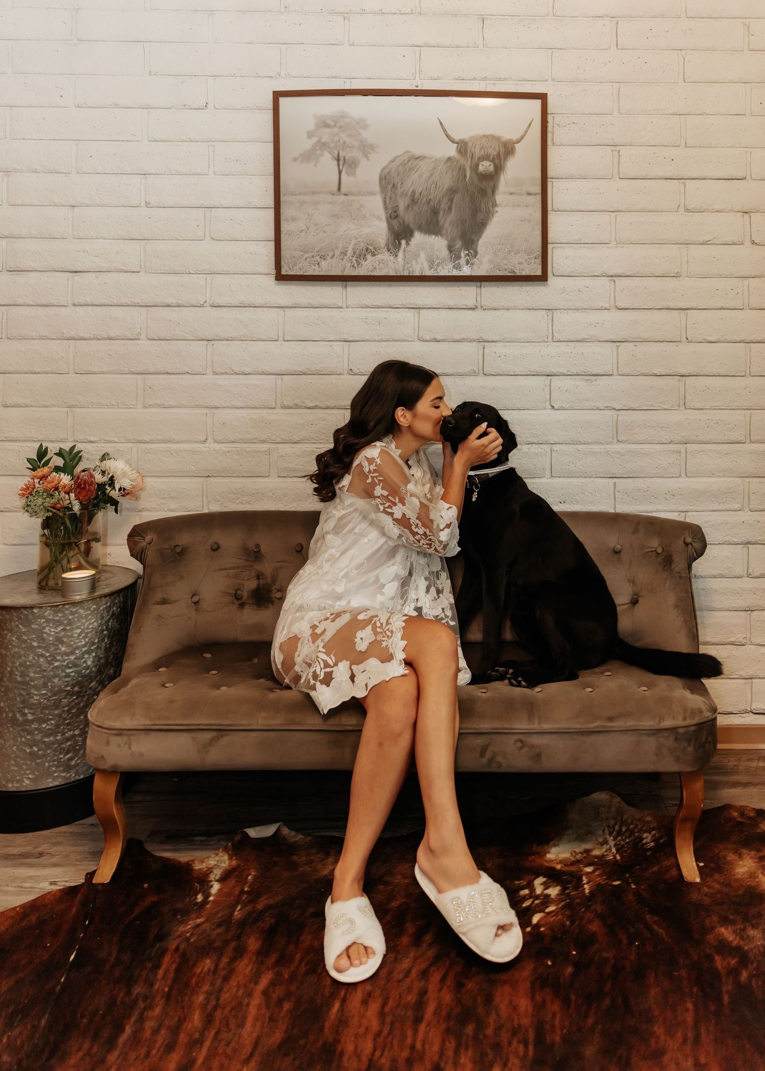 Wedding photos on brown couch with highland cattle artwork in background.
