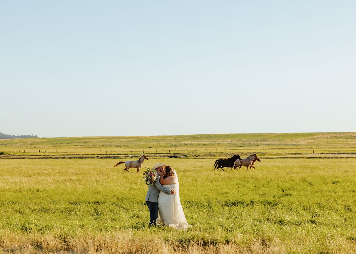 Bride and groom embrace in a green field with wild horses galloping in the background under a clear blue sky.