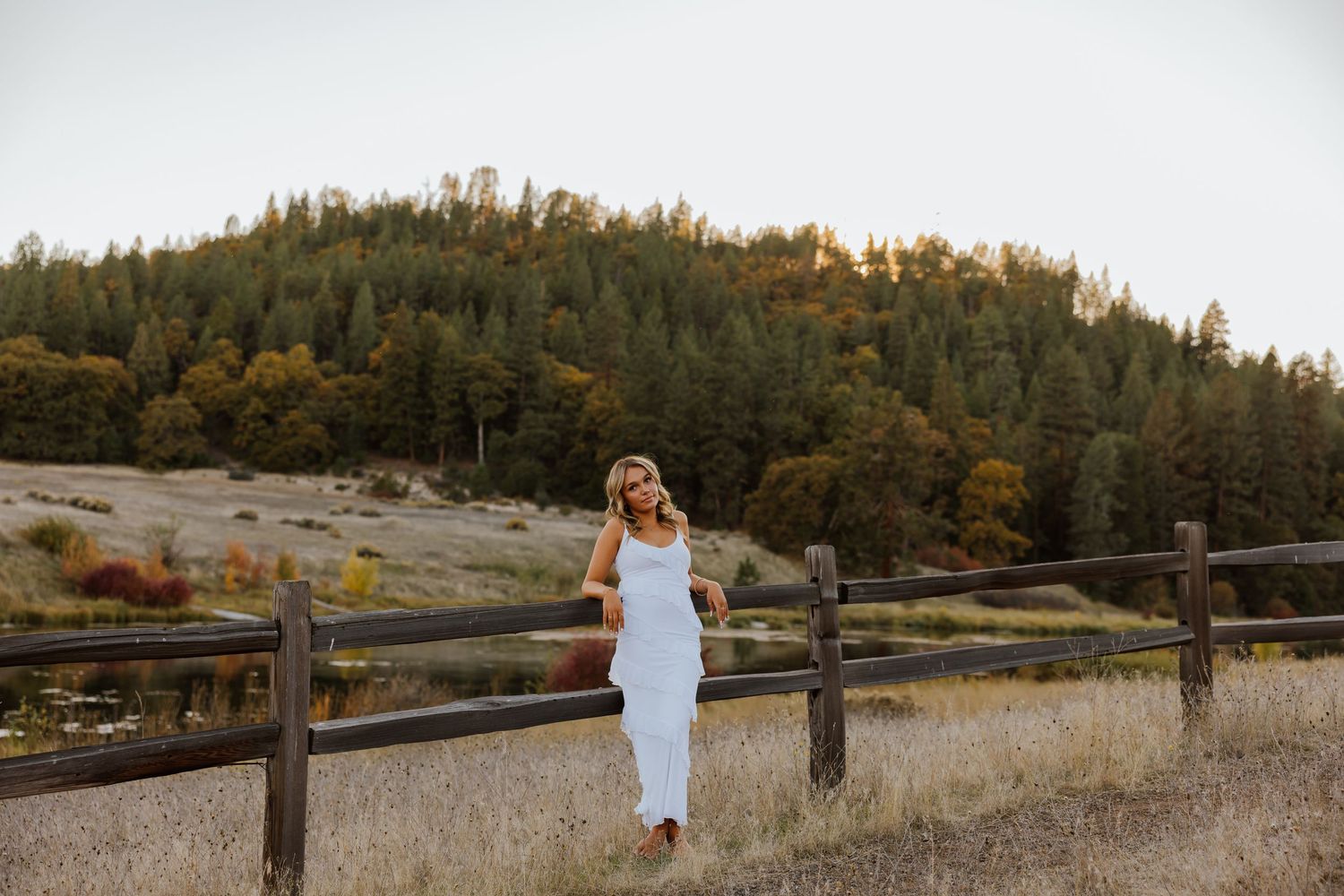 Rustic wooden fence along grassy field with evergreen forest backdrop at golden hour.