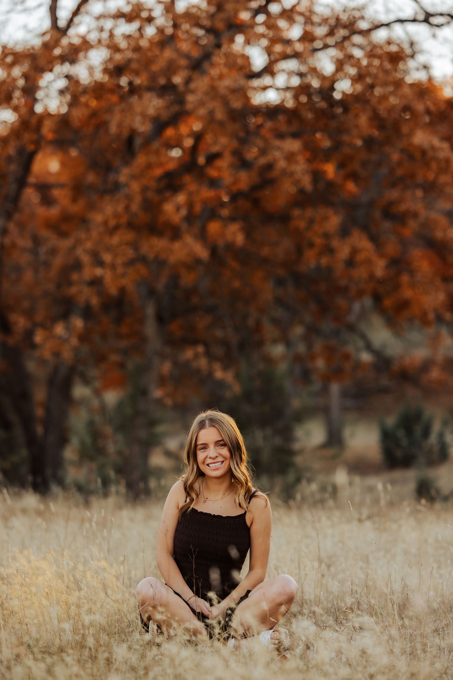 Artistic senior portrait session in tall grass with autumn foliage backdrop.