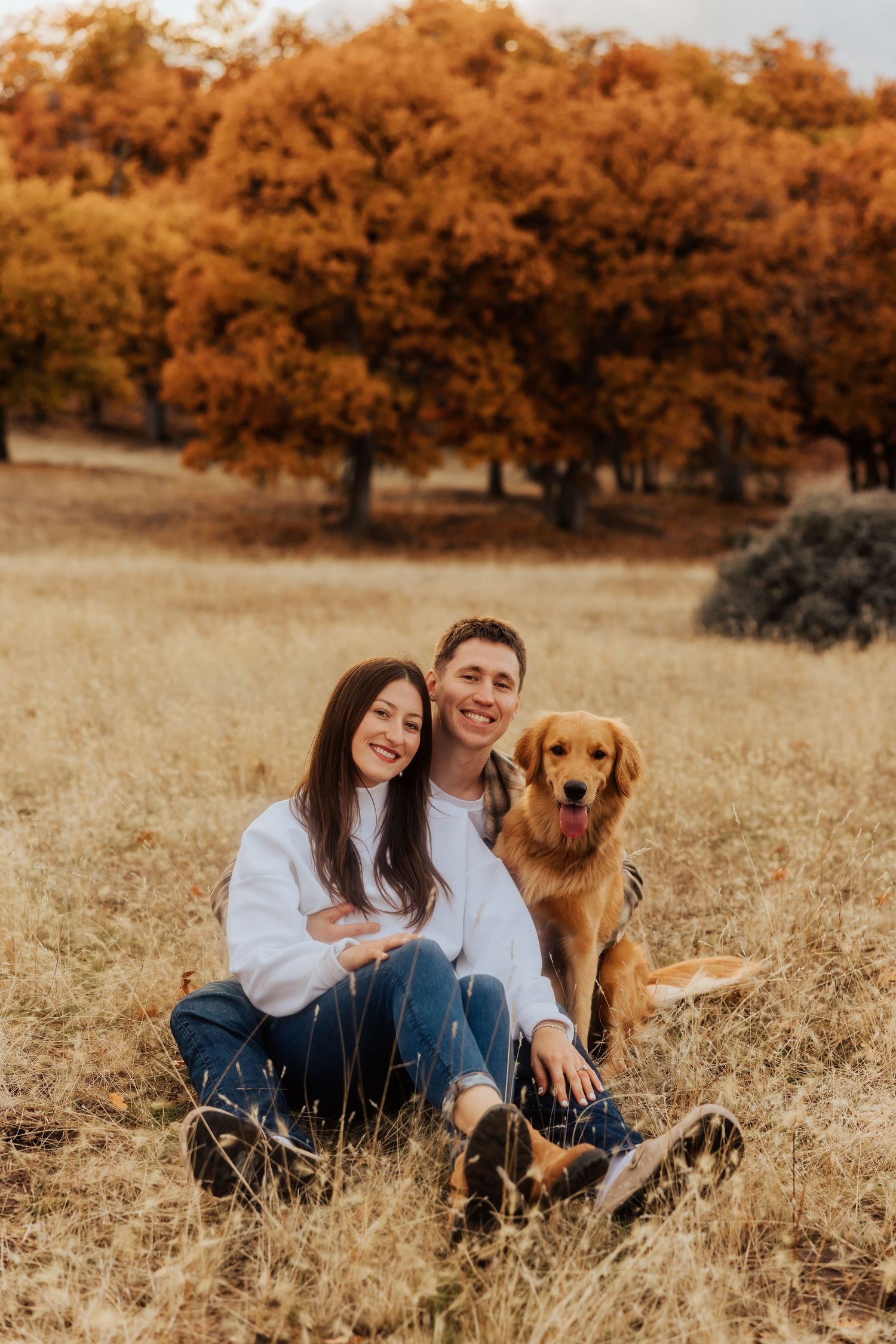 Couple sitting with their golden retriever in a golden autumn field.
