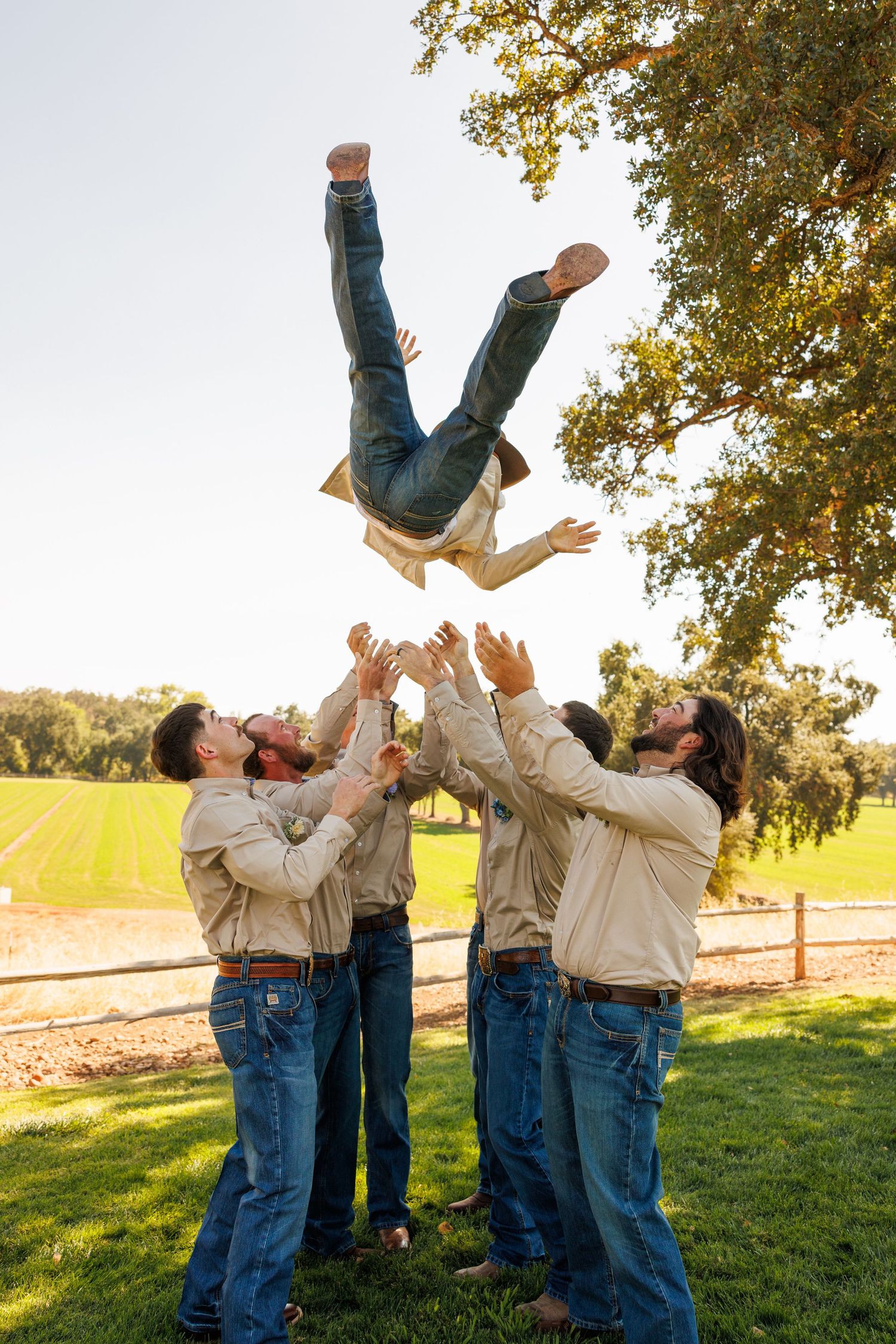 Groomsmen toss groom in the air in playful sequence of photos on sunny grass field.