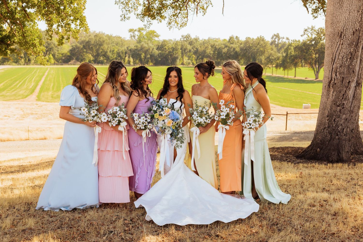 A wedding party in pastel dresses poses under a large oak tree in golden afternoon light.