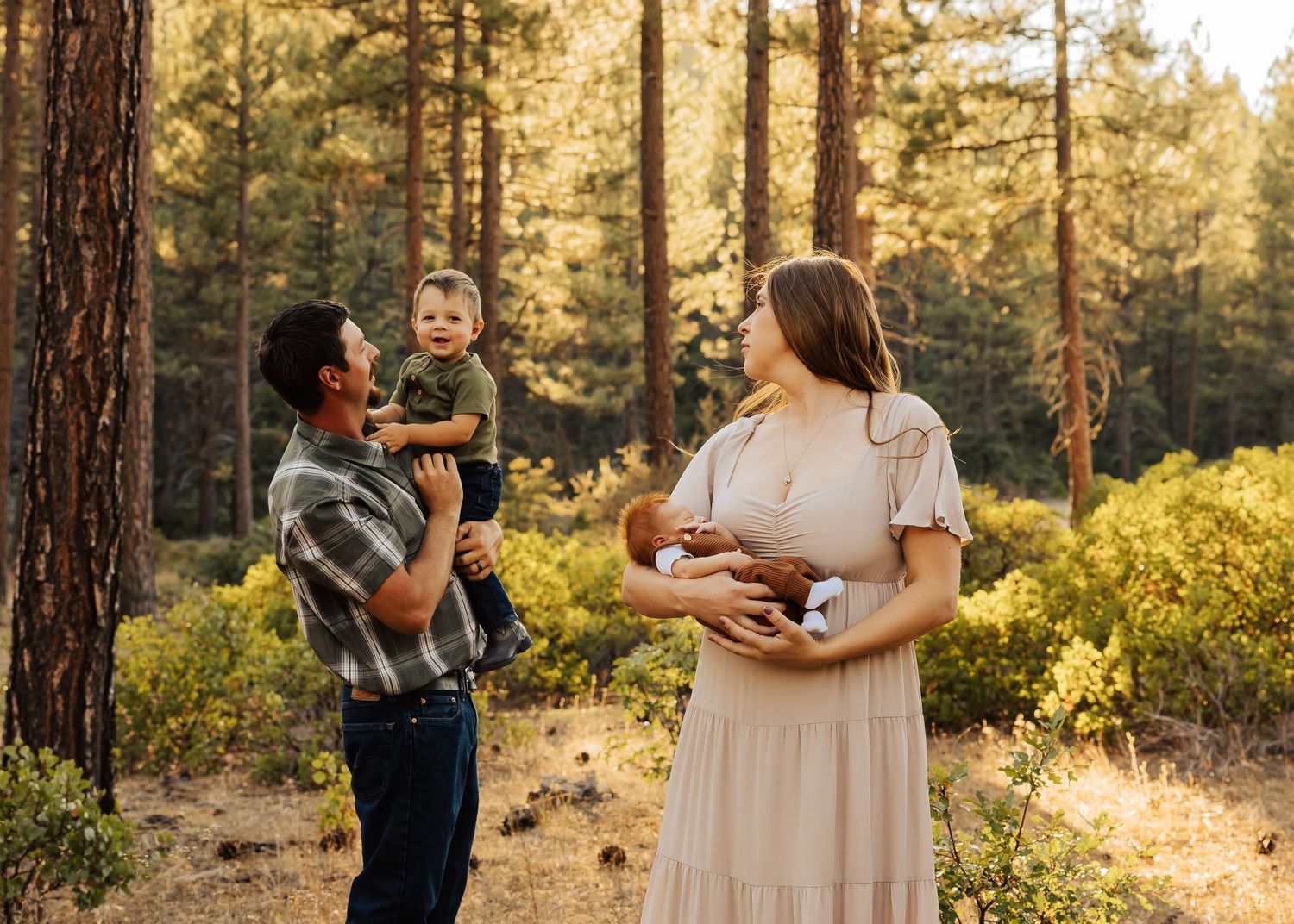 Loving family portrait captured in warm evening light among tall pine trees.