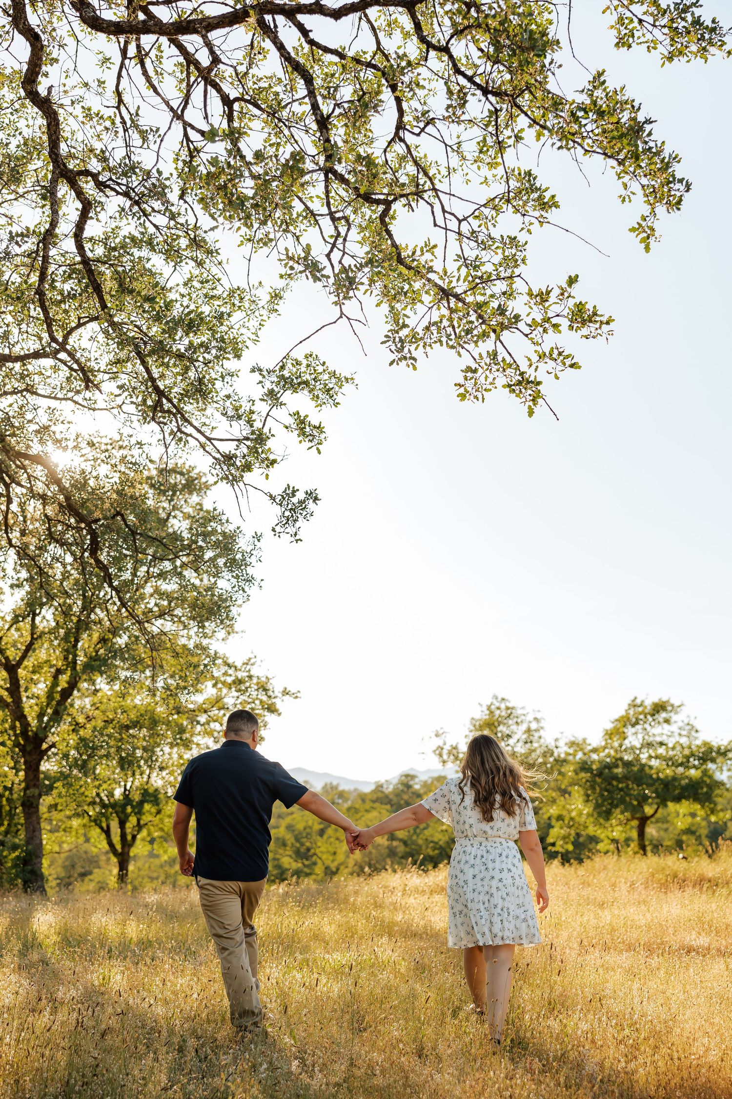 Couple holding hands walking through a sunlit golden meadow with oak trees, woman in floral dress and man in dark shirt.