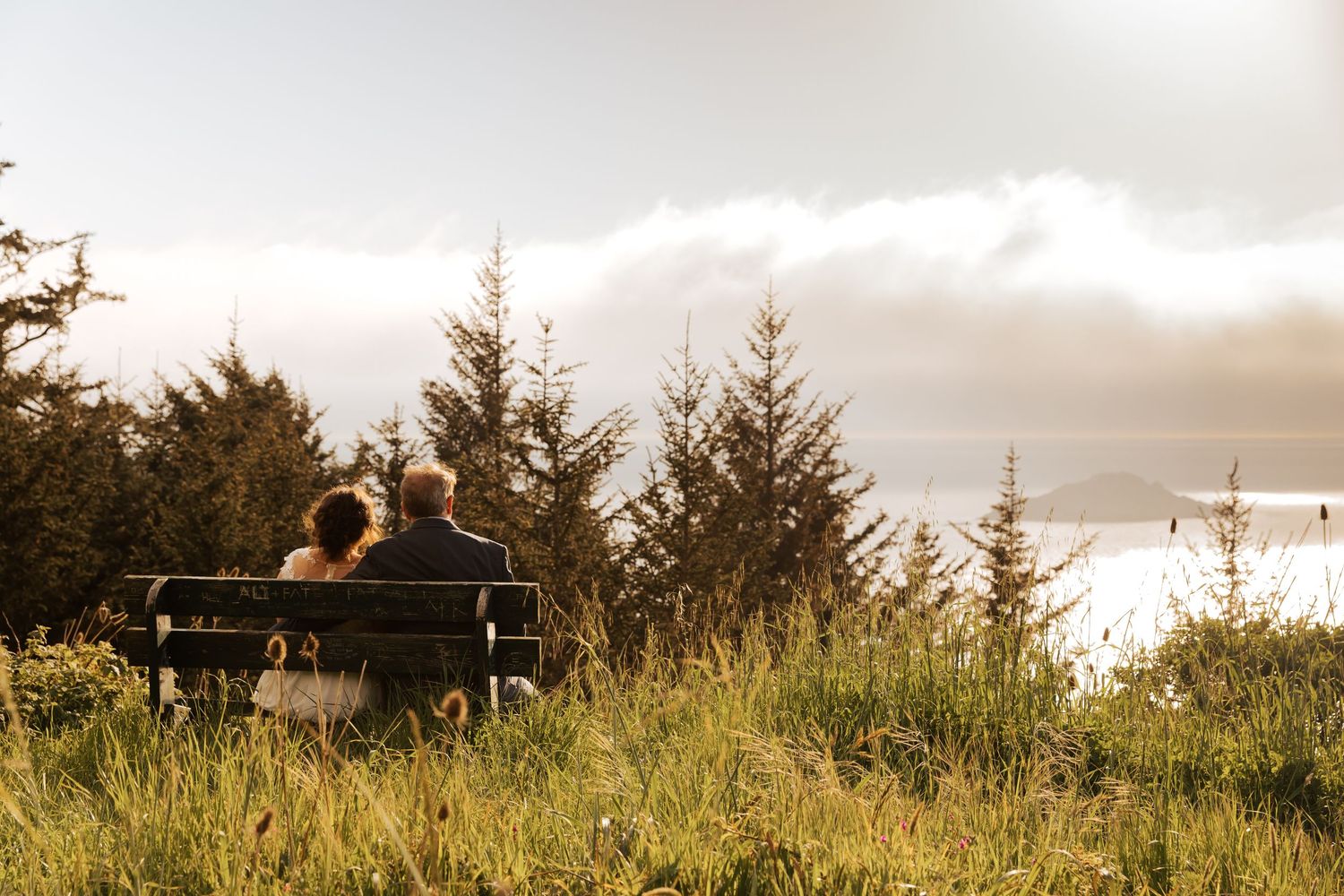 A scenic panoramic view of a grassy coastal hillside with distant ocean views.