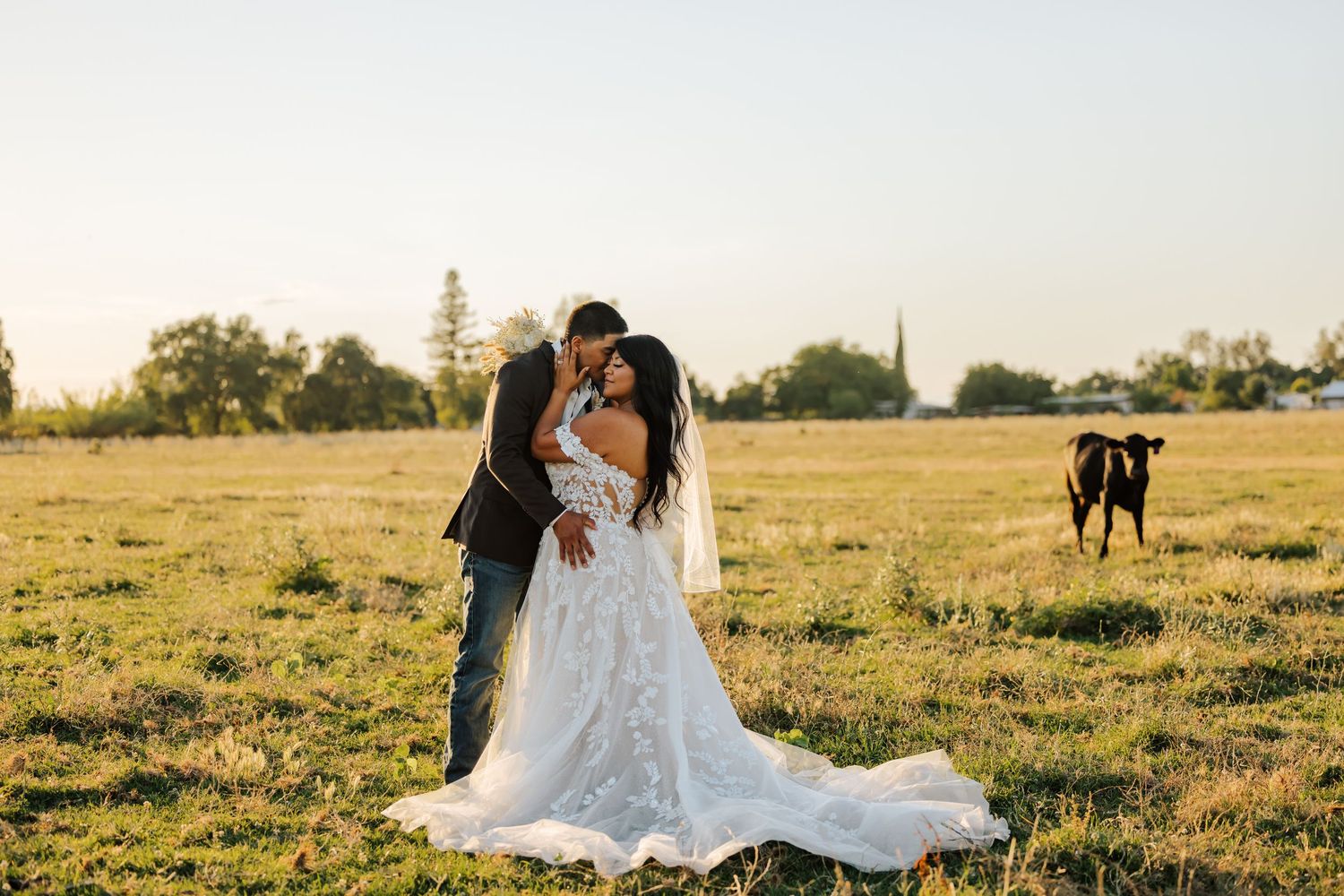 Bride and groom sharing a kiss in a sunlit field with a cow grazing in the background at golden hour.