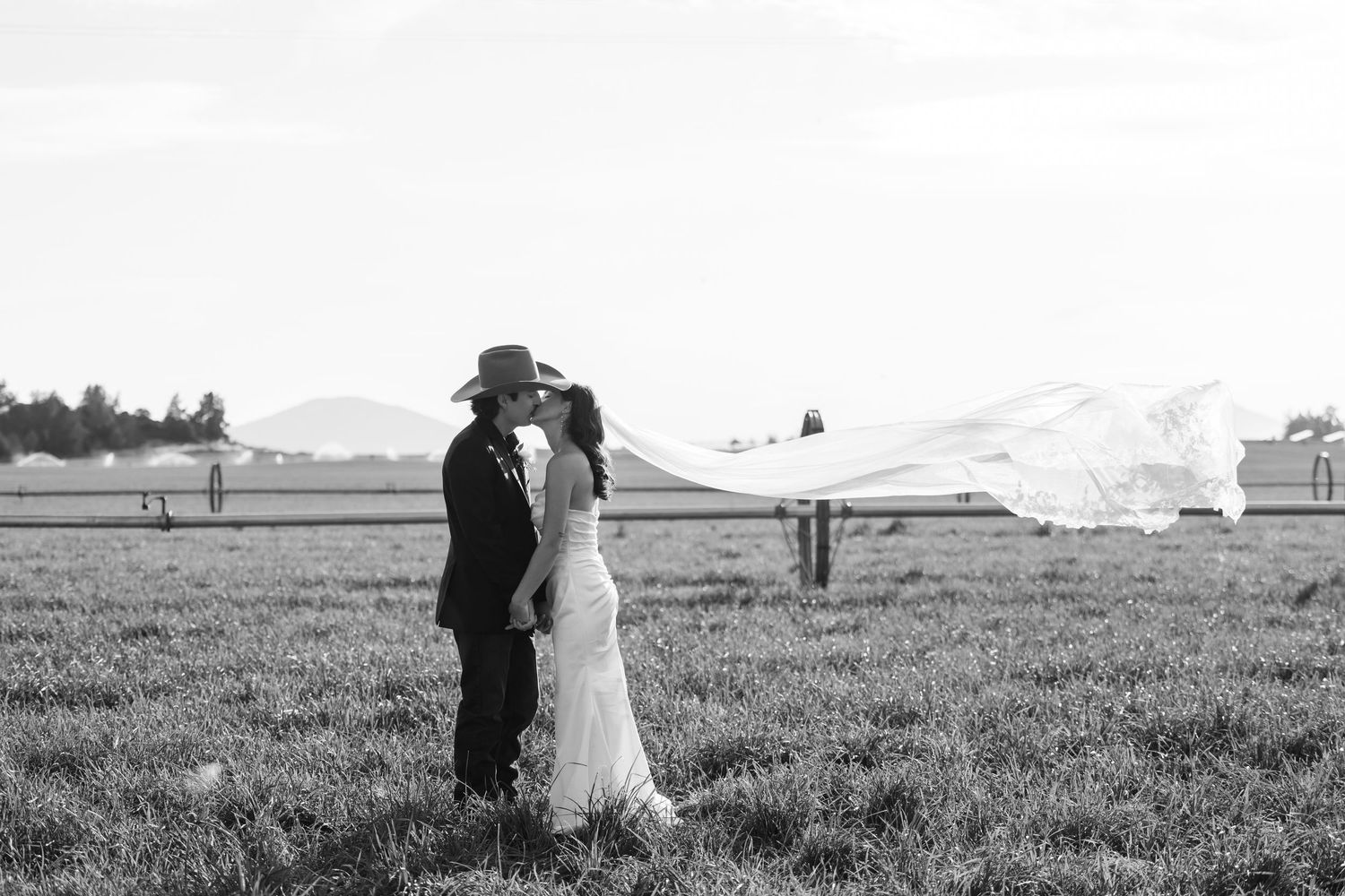 Panoramic view of newlyweds in an open field during golden hour.