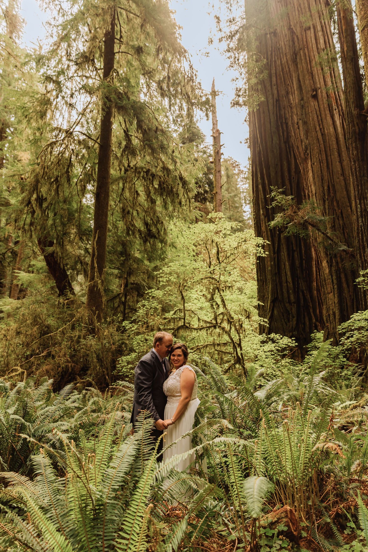 A romantic wedding sequence photographed in a majestic redwood forest with sunlight filtering through the trees.