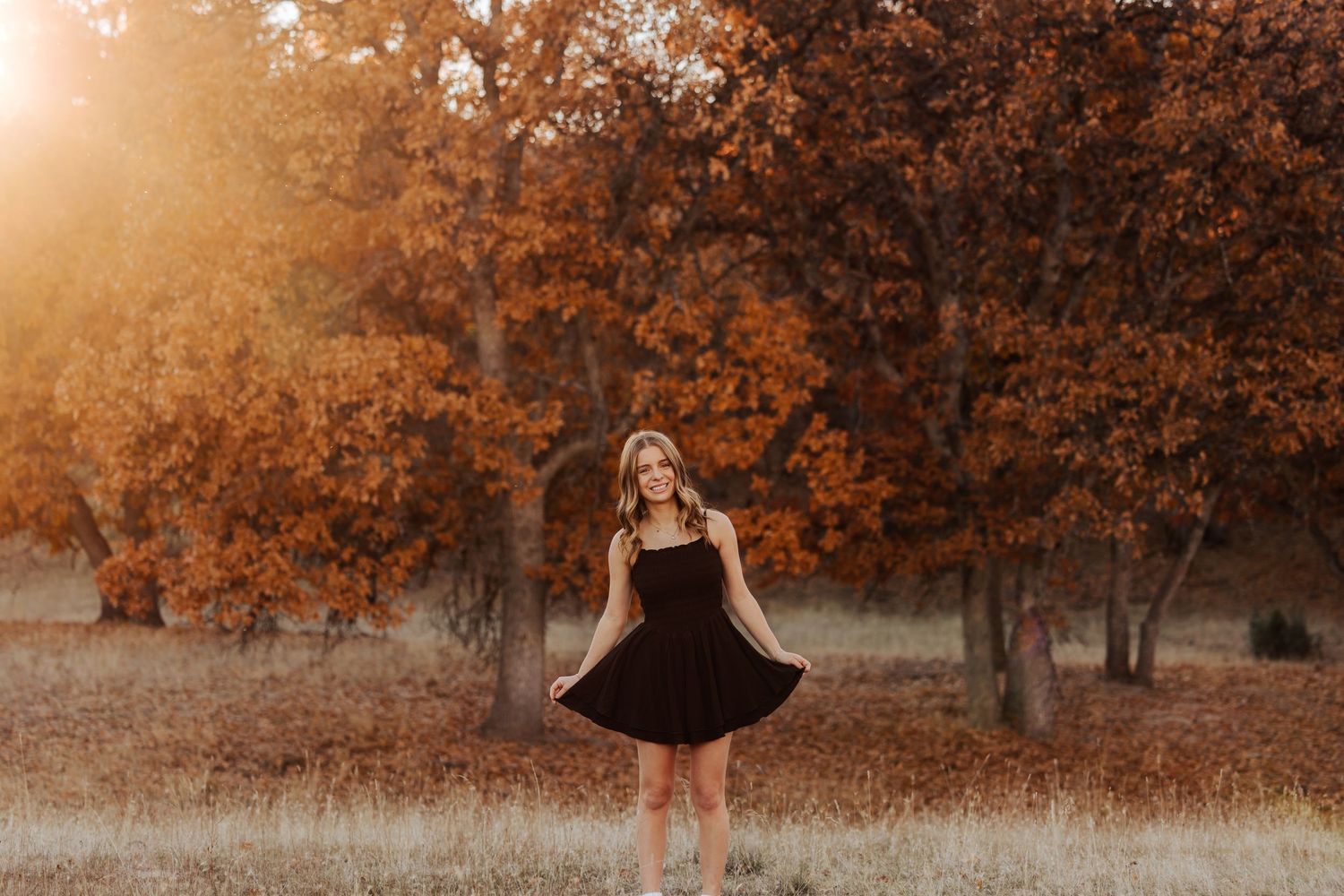 Artistic photo series in a field during golden hour with autumn trees in the background.