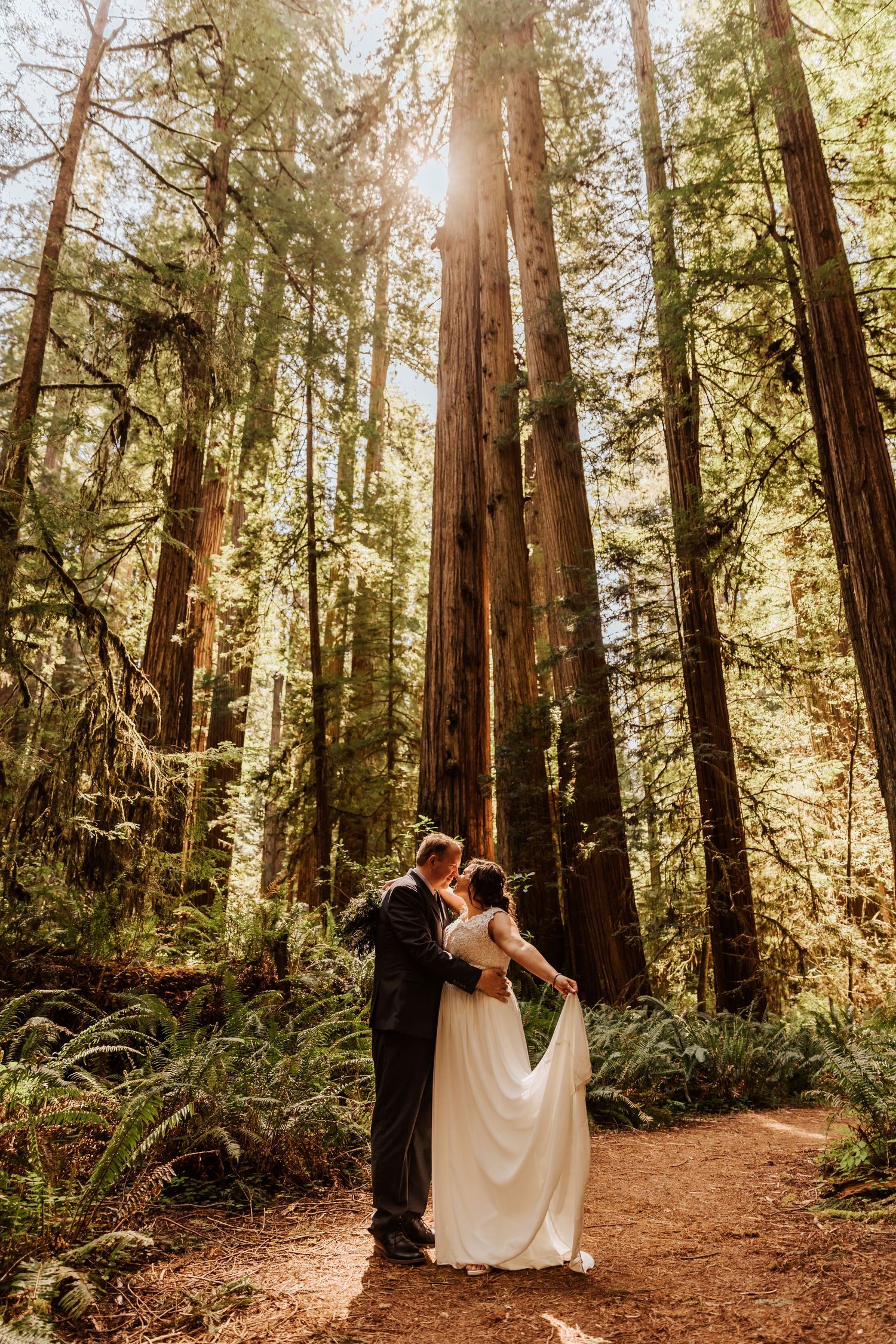 A wedding couple embraces on a winding trail through ancient redwood trees in golden afternoon light.